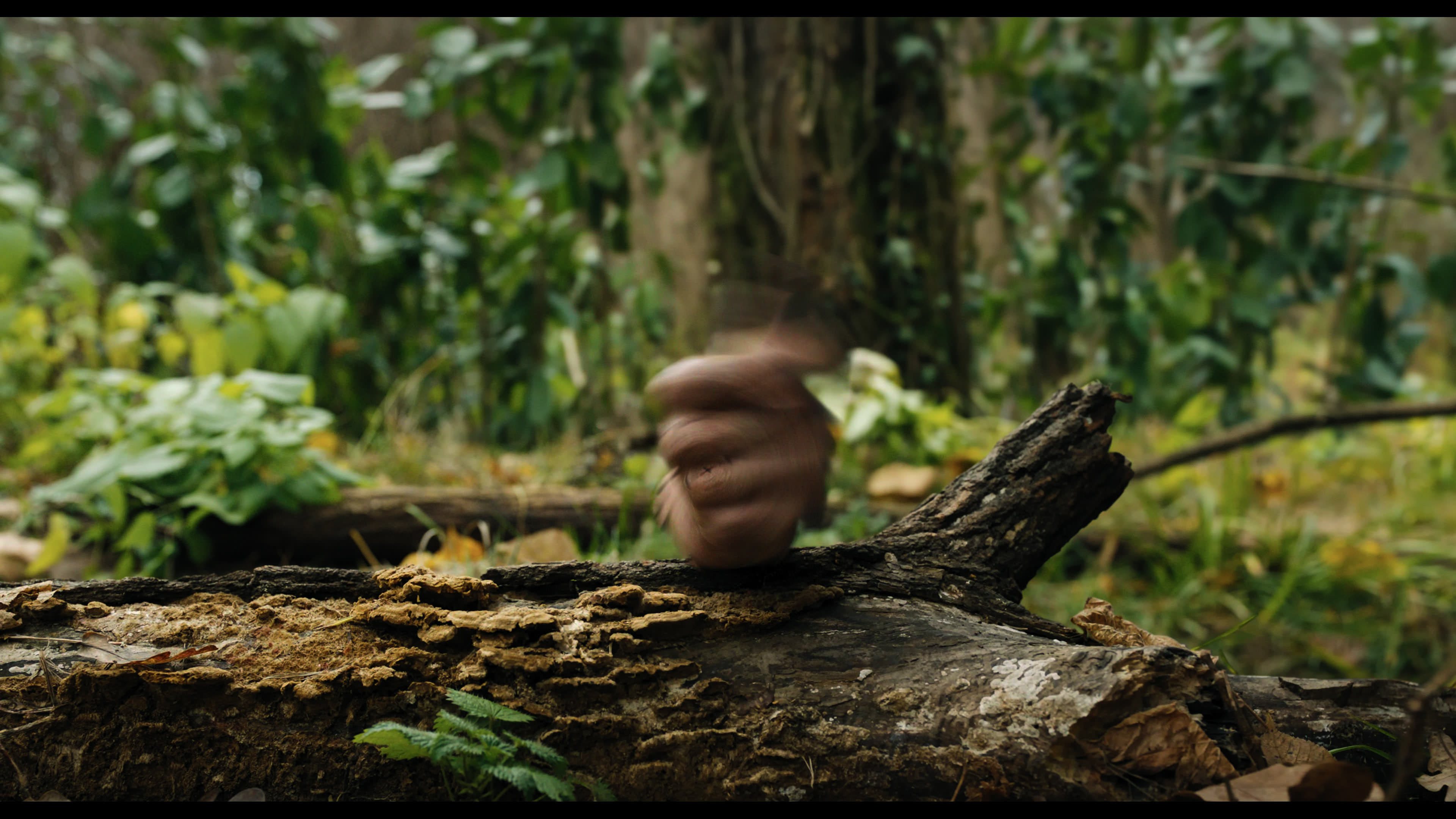 Wednesday S01E02 “Woe Is the Loneliest Number” movie still 5290