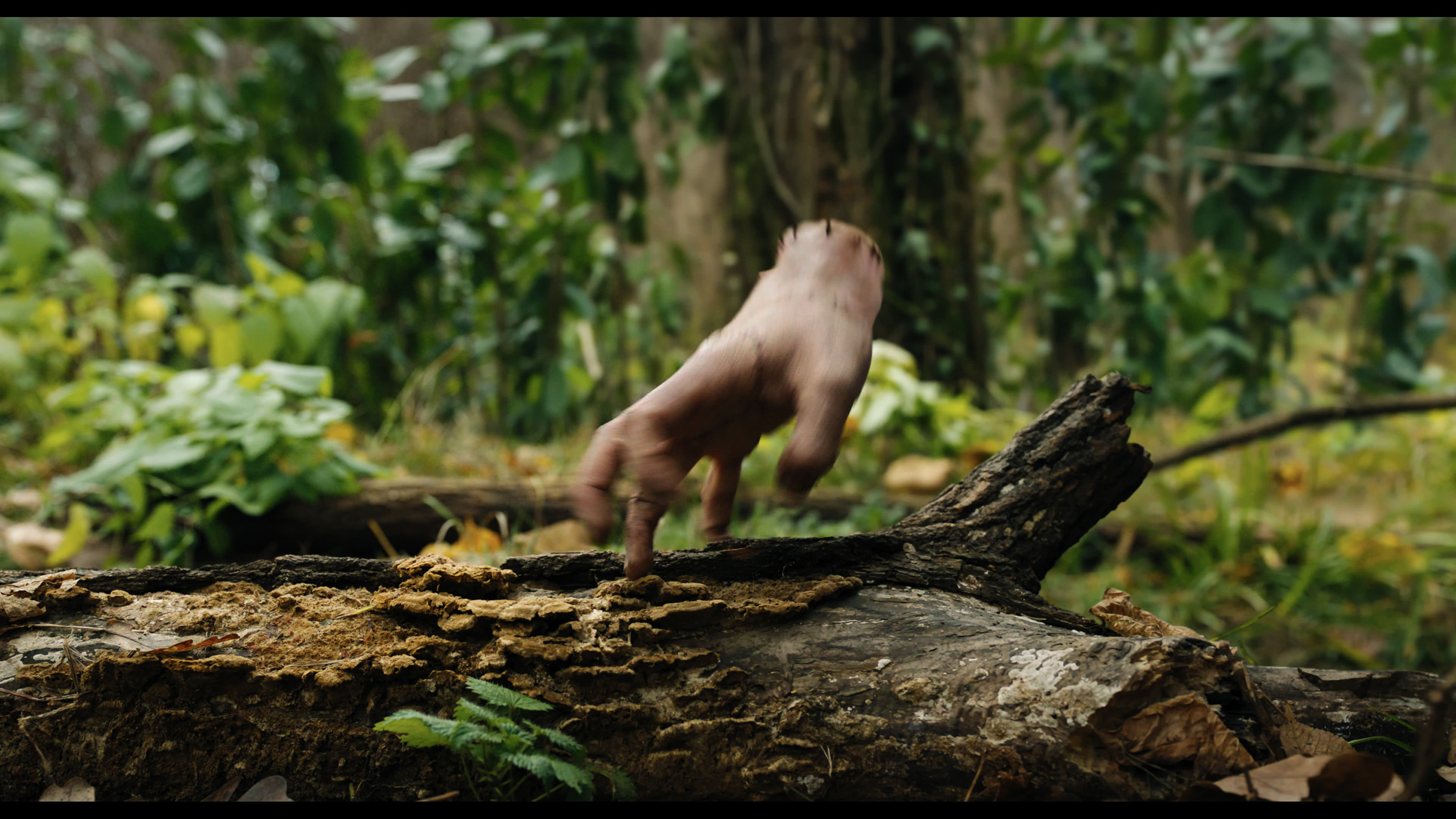 Wednesday S01E02 “Woe Is the Loneliest Number” movie still 5293