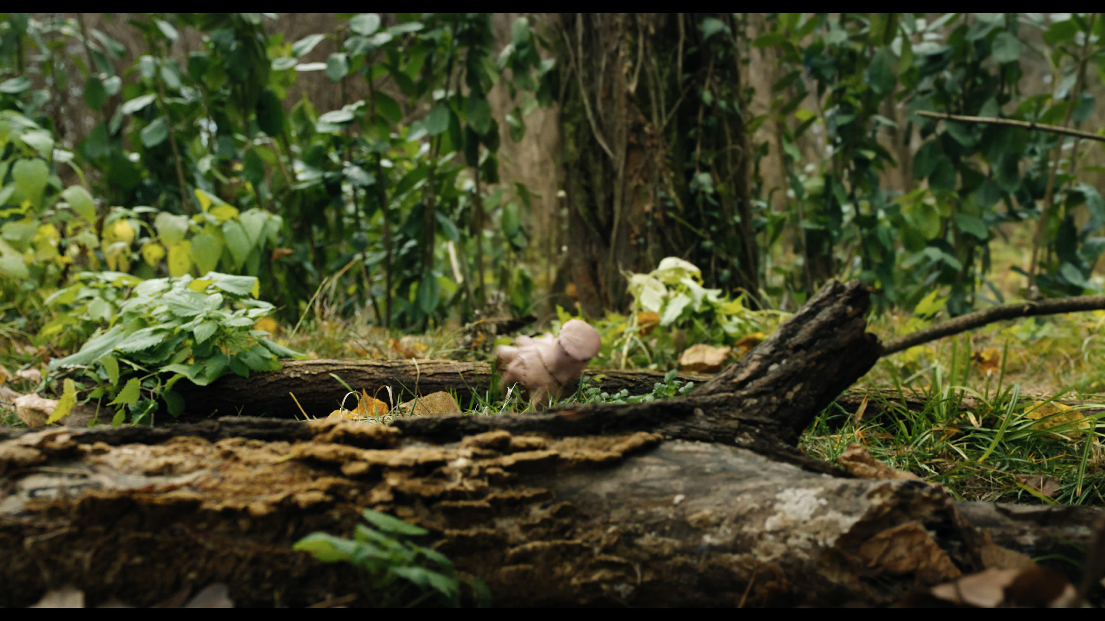 Wednesday S01E02 “Woe Is the Loneliest Number” movie still 5296