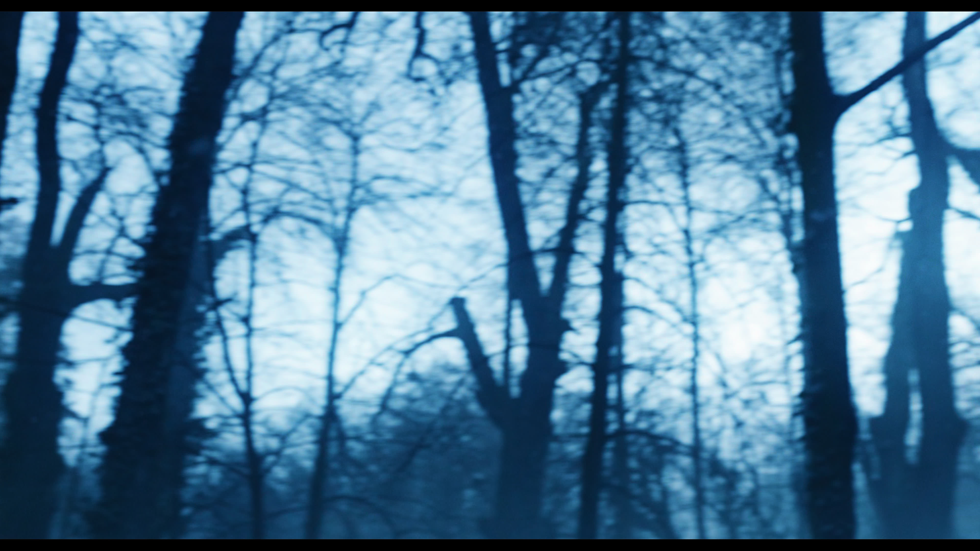 Wednesday S01E02 “Woe Is the Loneliest Number” movie still 5353