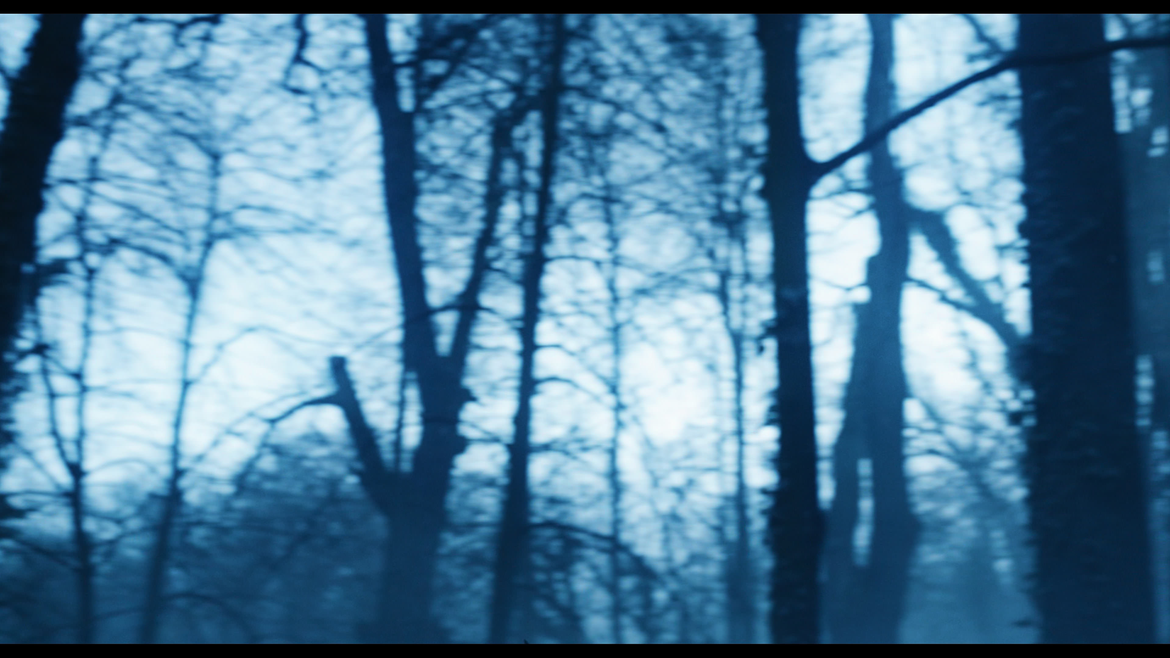 Wednesday S01E02 “Woe Is the Loneliest Number” screencap 5355