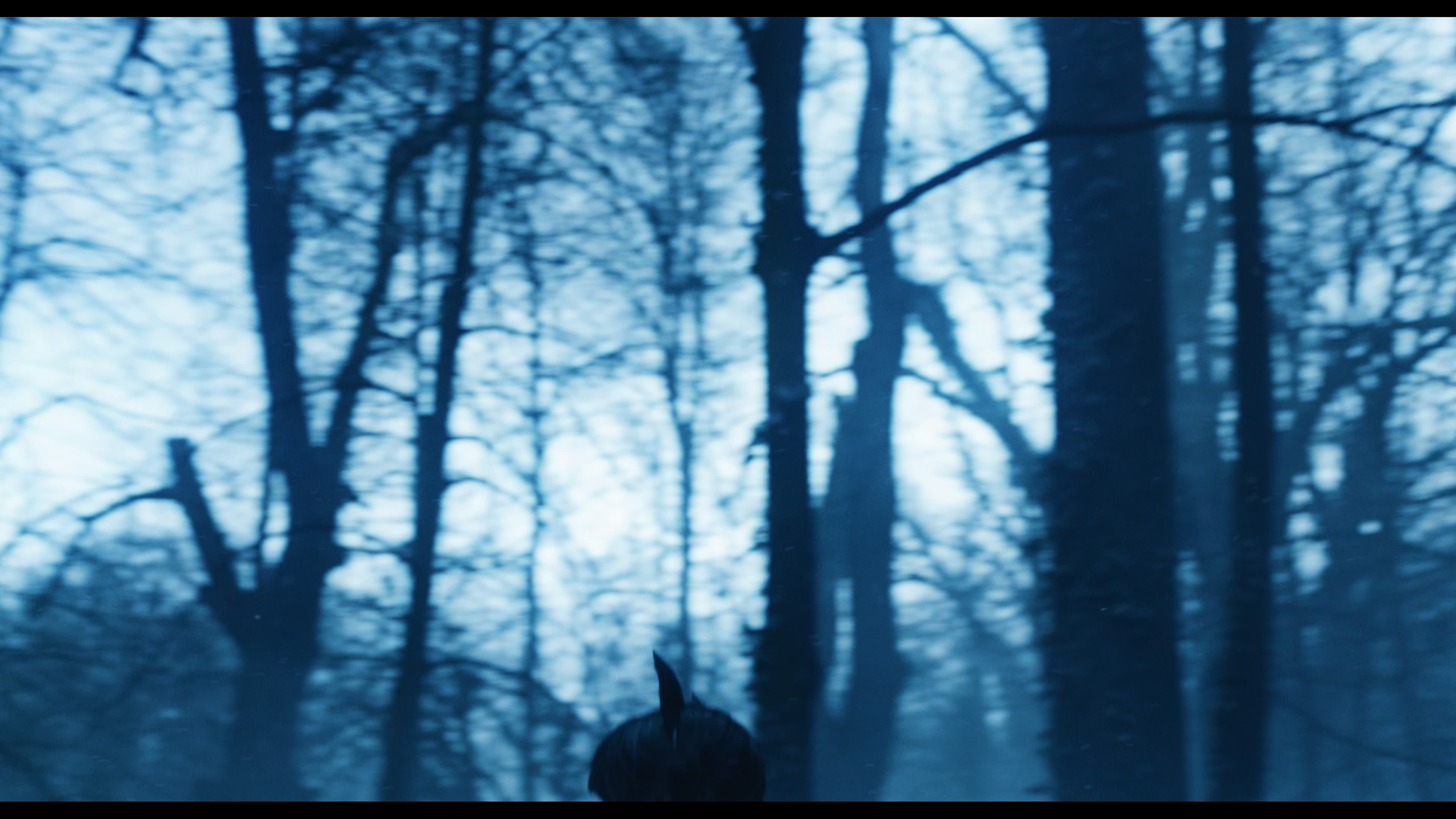 Wednesday S01E02 “Woe Is the Loneliest Number” movie still 5356