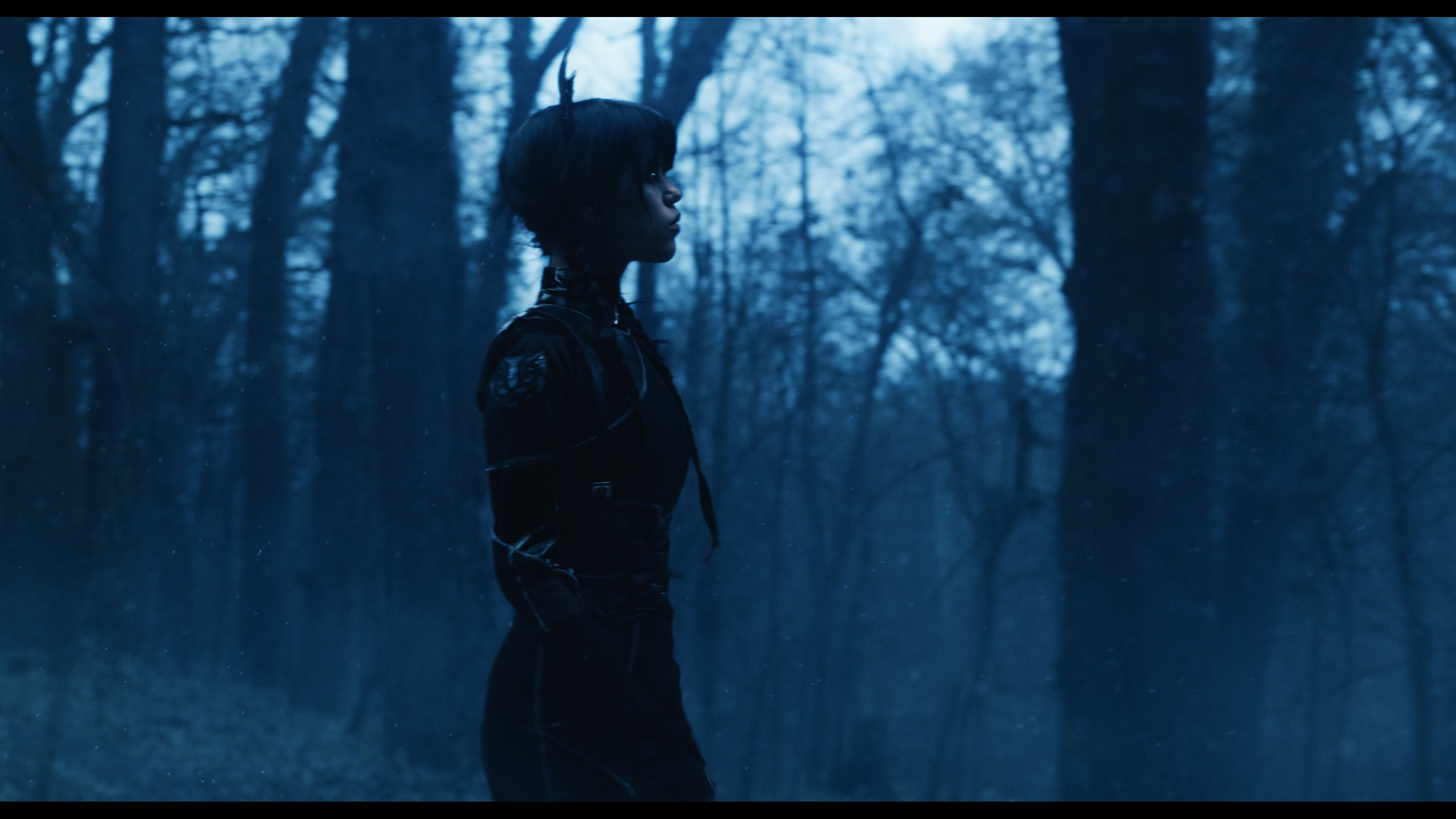 Wednesday S01E02 “Woe Is the Loneliest Number” screencap 5373