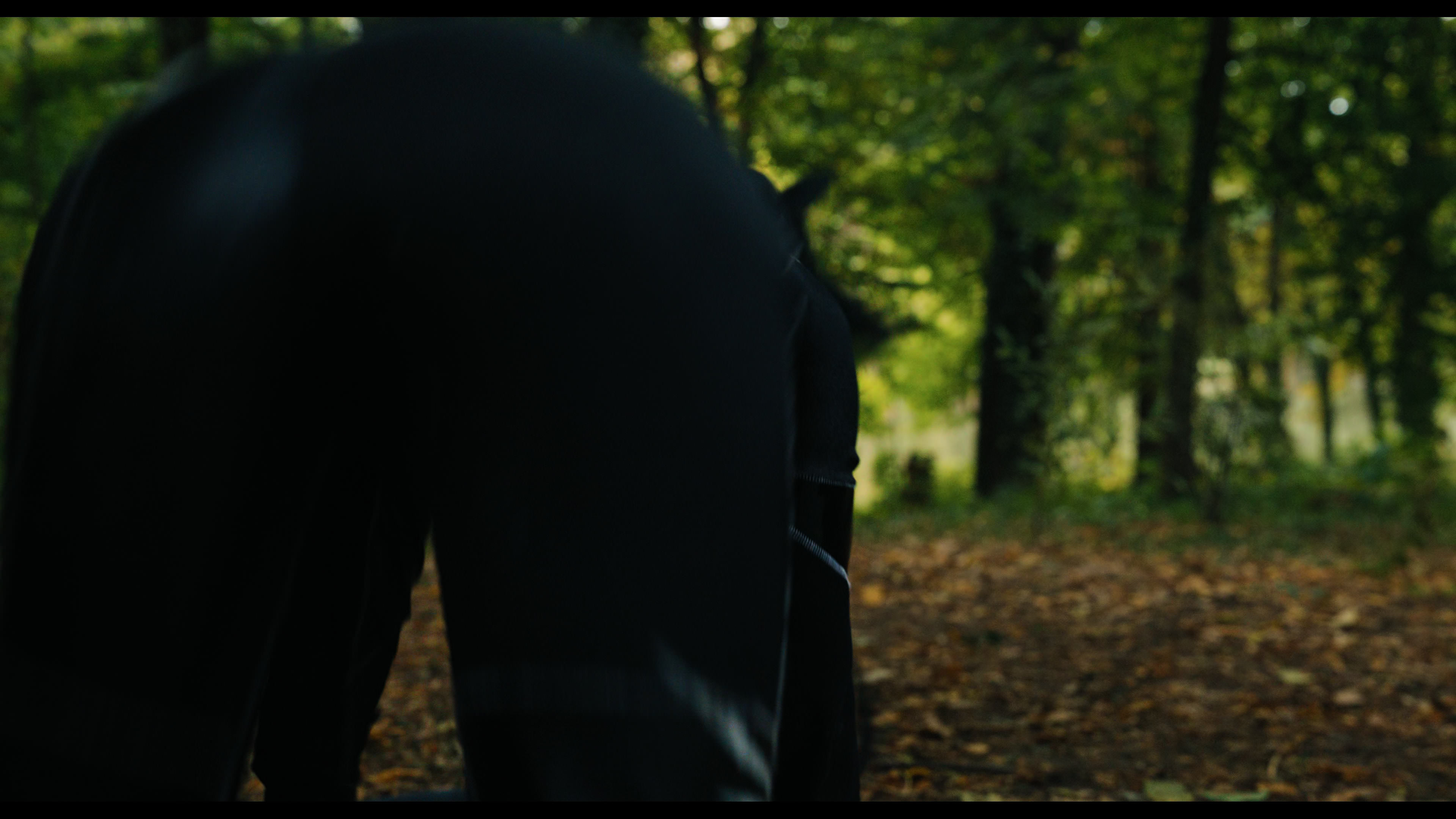 Wednesday S01E02 “Woe Is the Loneliest Number” HD screenshot 5420