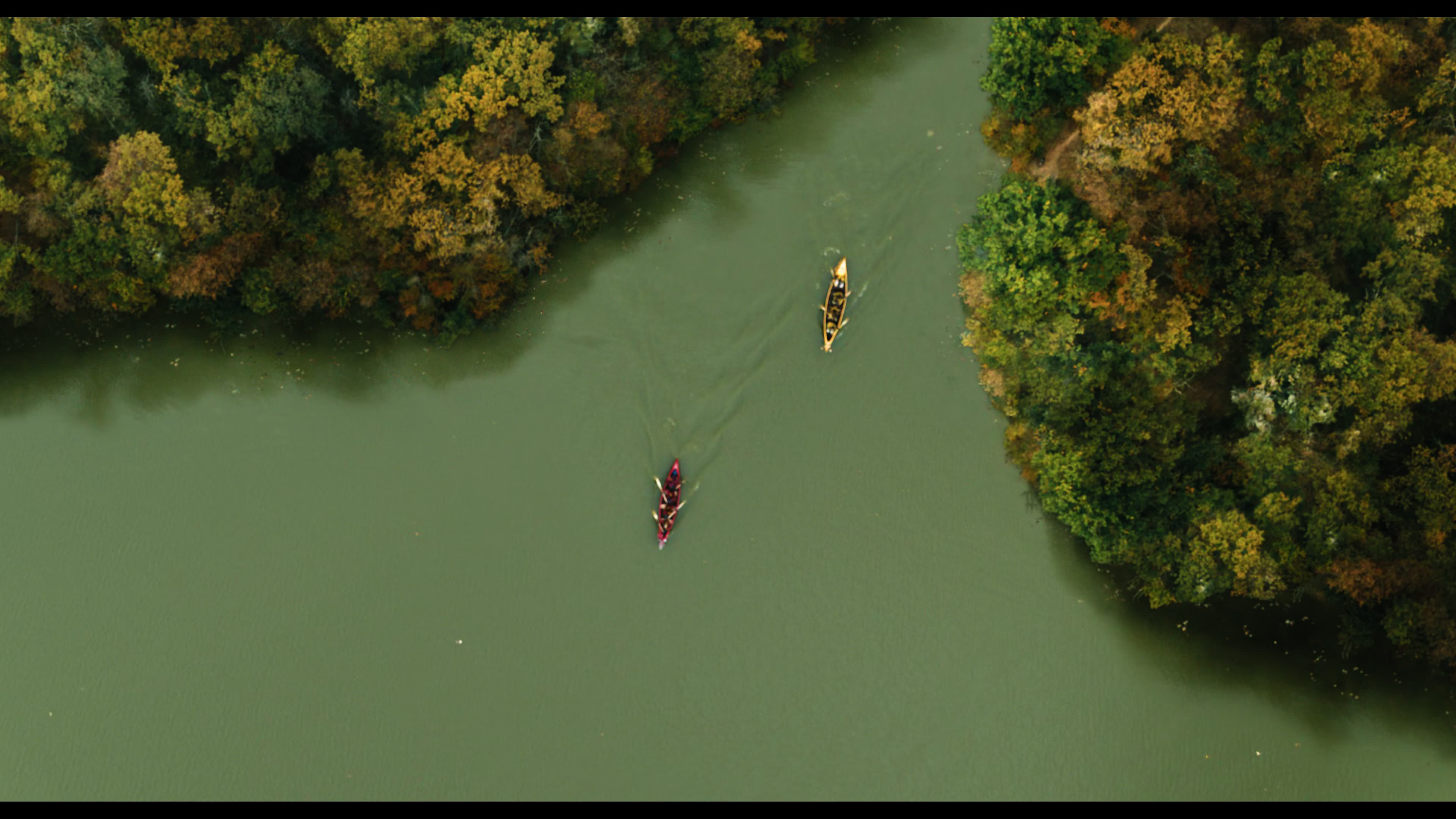 Wednesday S01E02 “Woe Is the Loneliest Number” movie still 5425