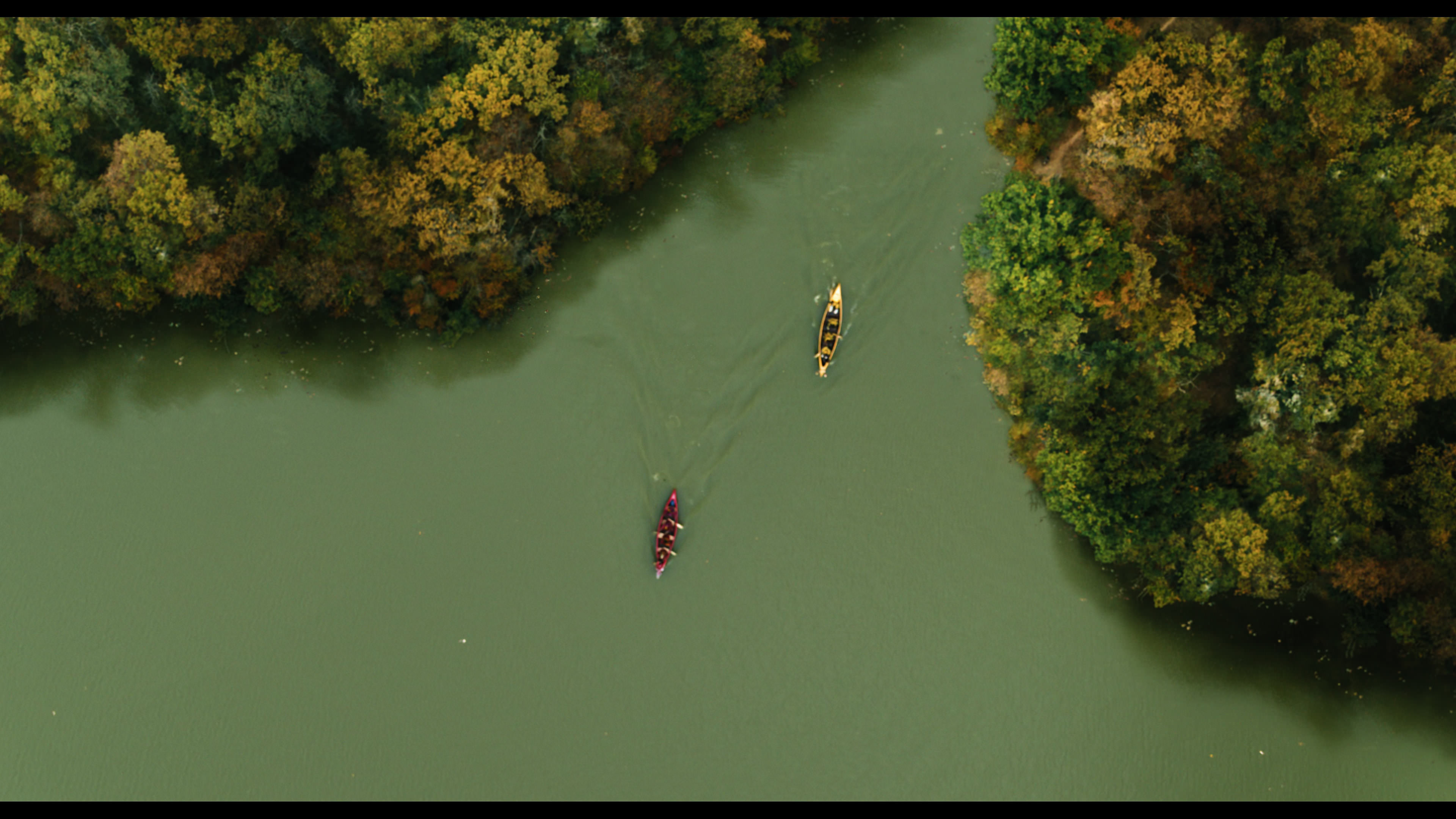 Wednesday S01E02 “Woe Is the Loneliest Number” screencap 5427