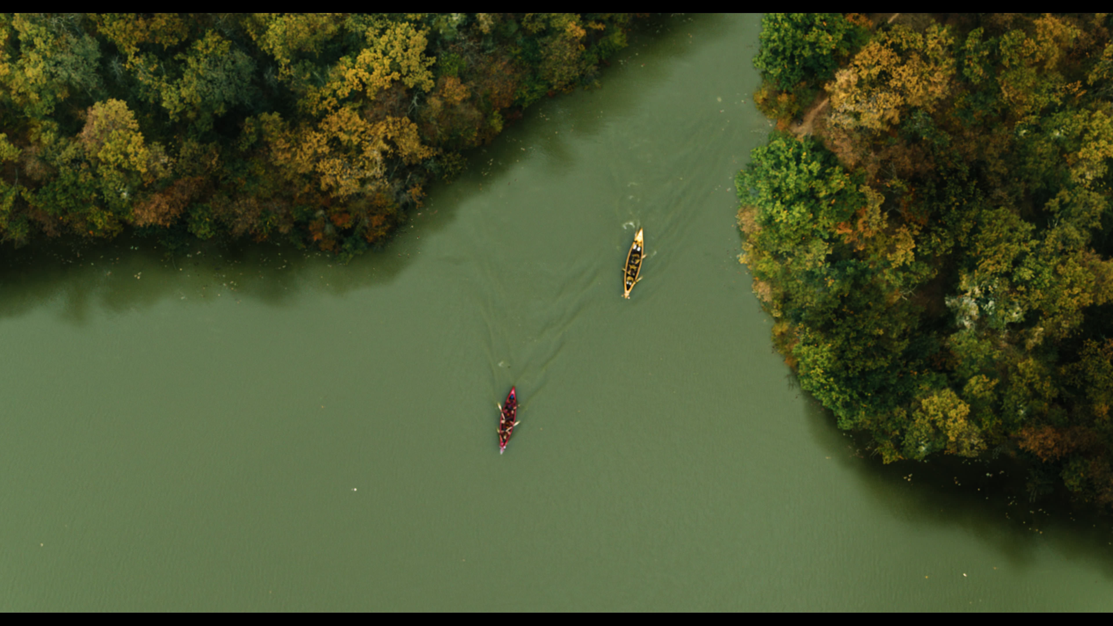 Wednesday S01E02 “Woe Is the Loneliest Number” movie still 5428