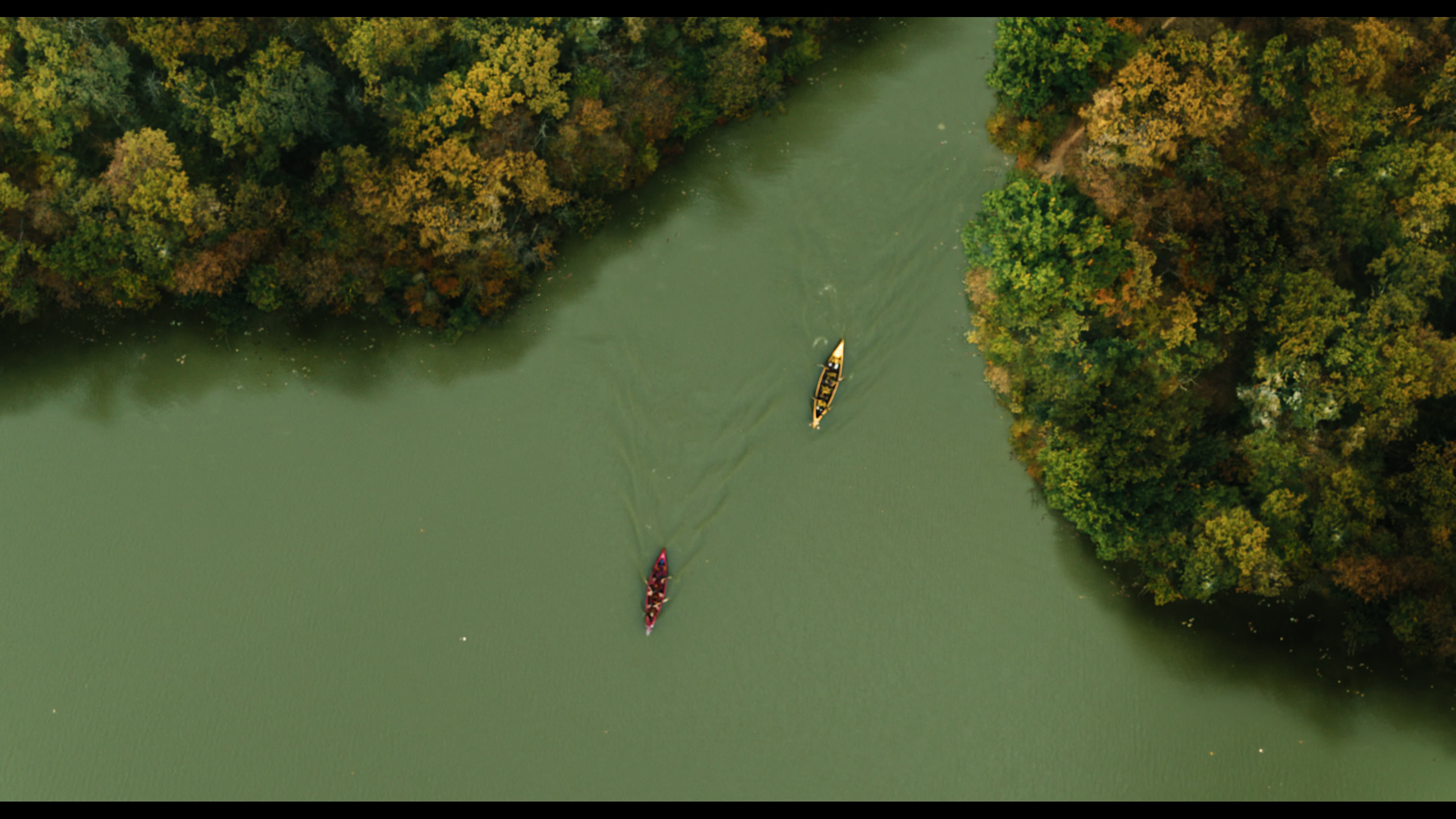 Wednesday S01E02 “Woe Is the Loneliest Number” movie still 5431