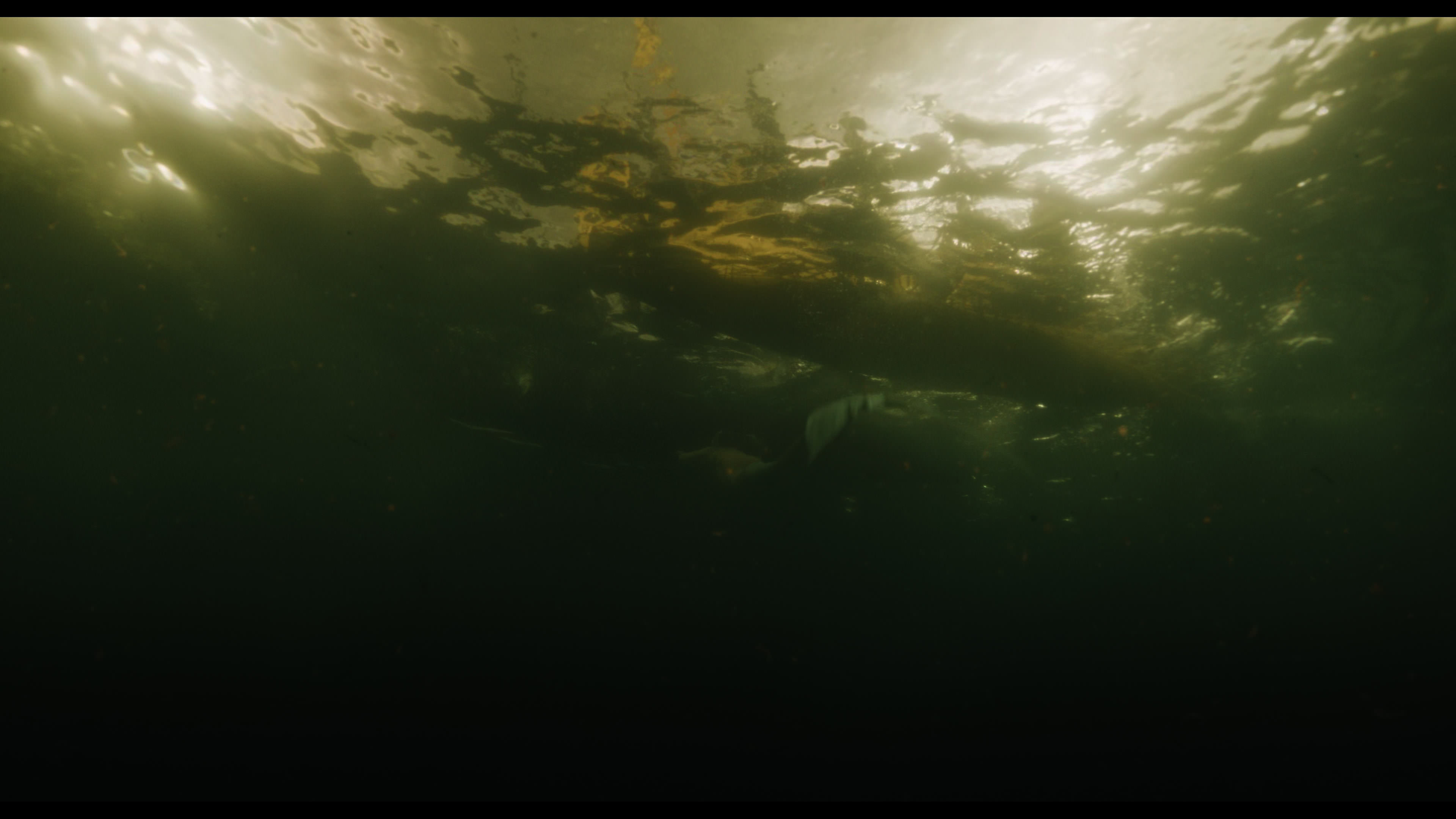 Wednesday S01E02 “Woe Is the Loneliest Number” movie still 5584