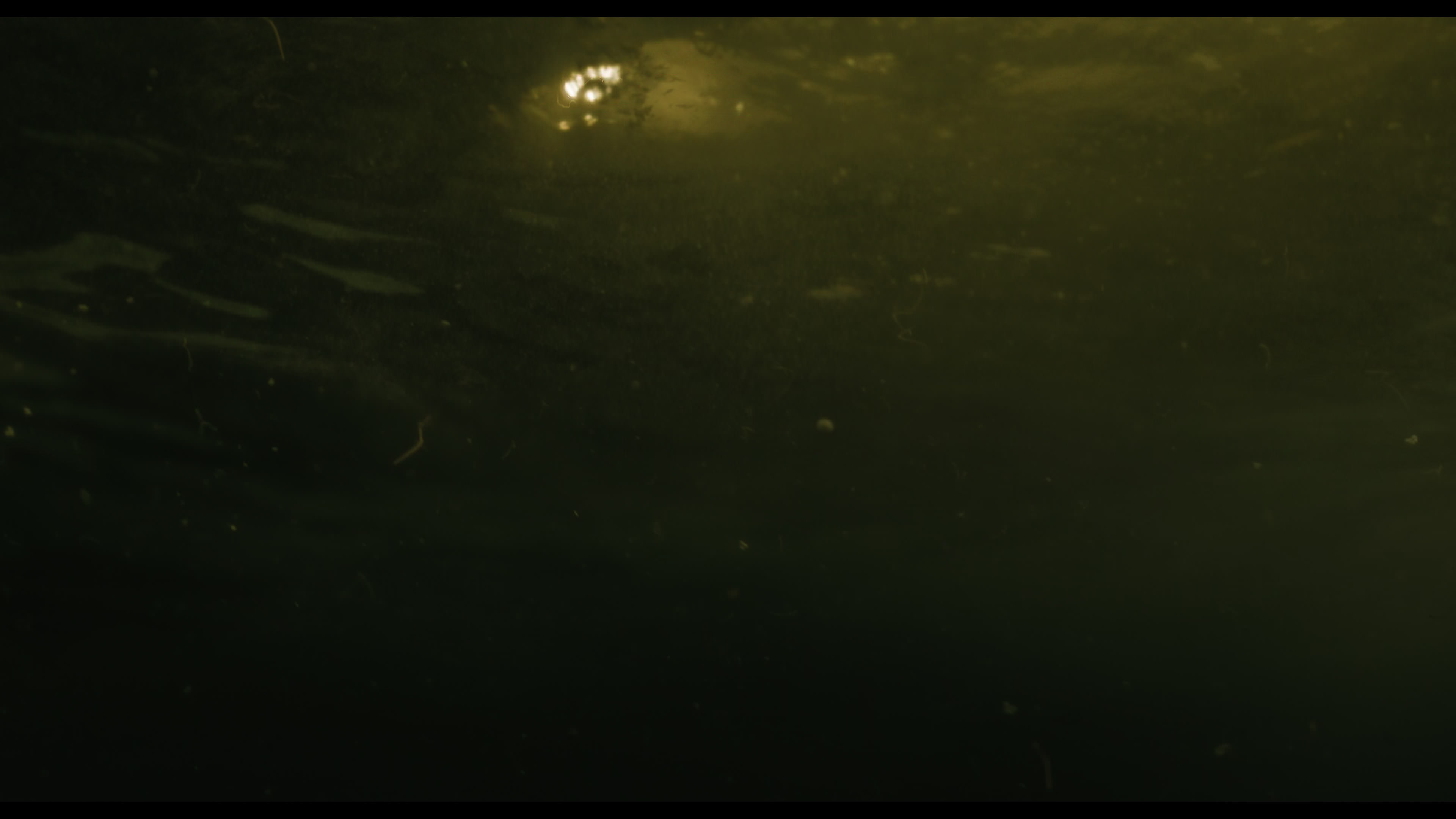 Wednesday S01E02 “Woe Is the Loneliest Number” screencap 5613