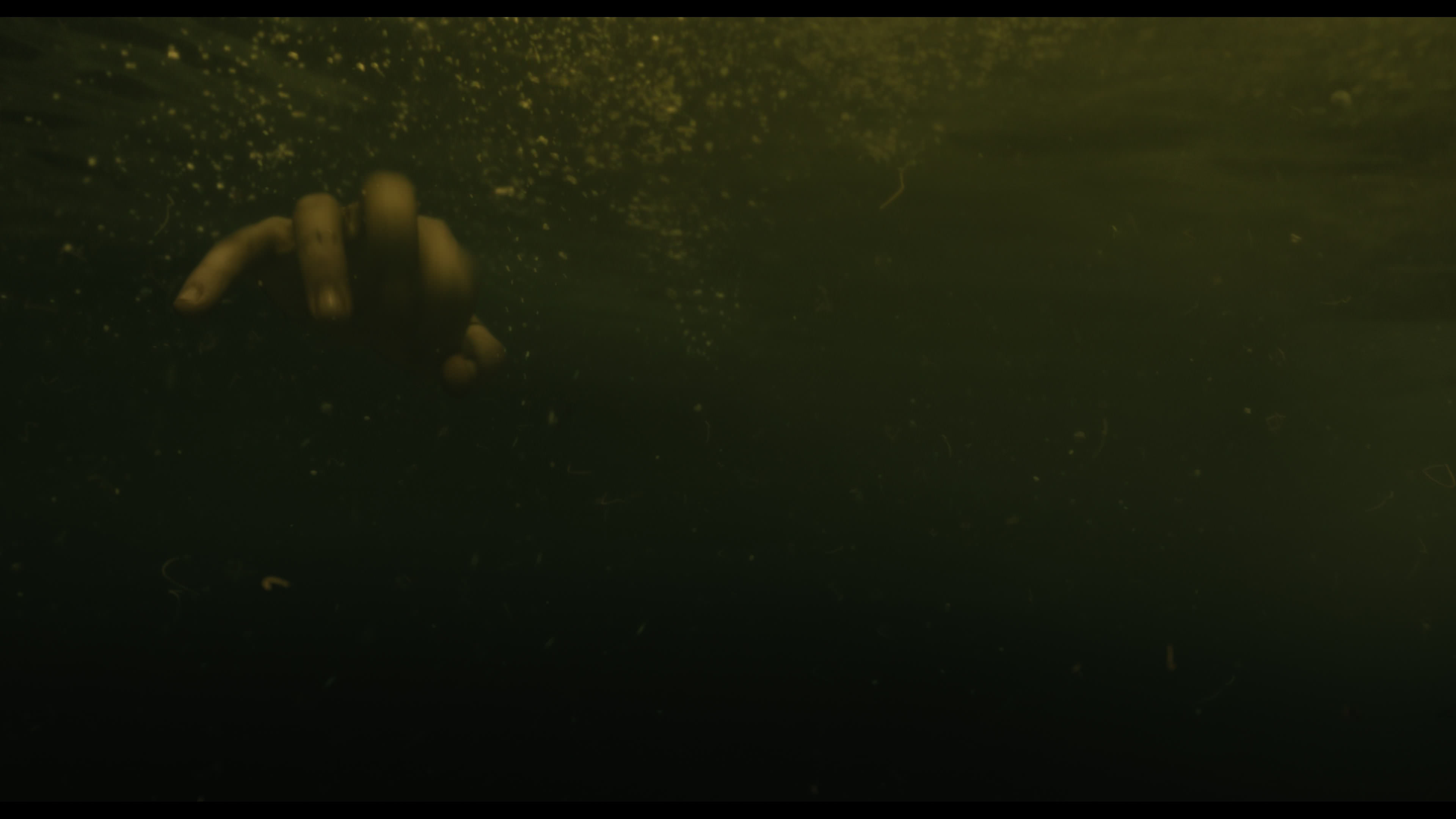 Wednesday S01E02 “Woe Is the Loneliest Number” movie still 5617