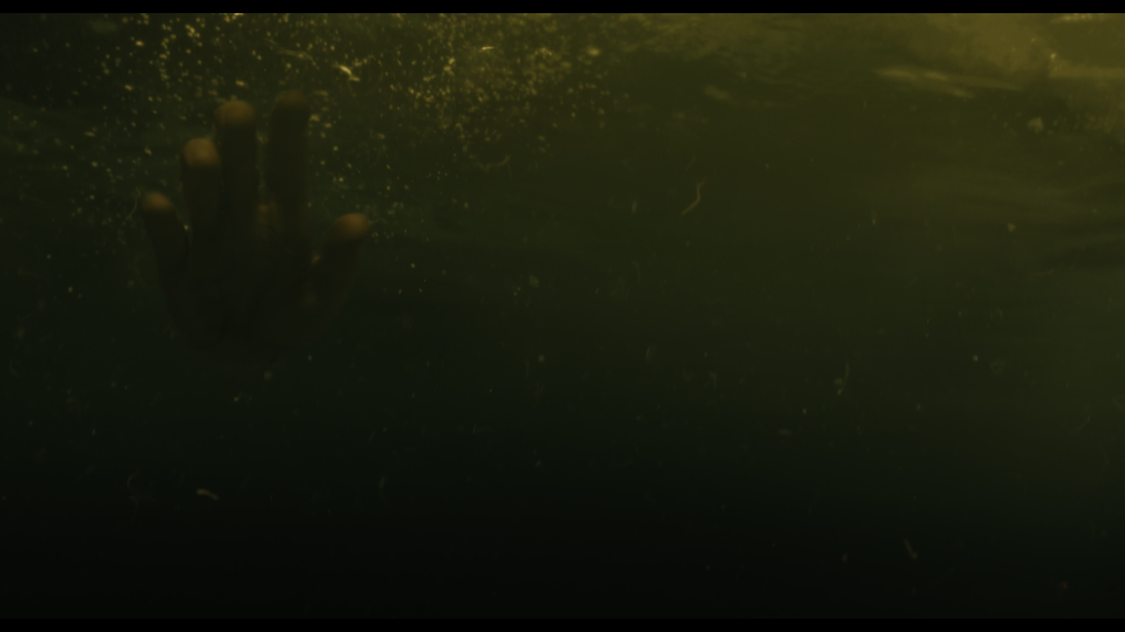 Wednesday S01E02 “Woe Is the Loneliest Number” HD screenshot 5618