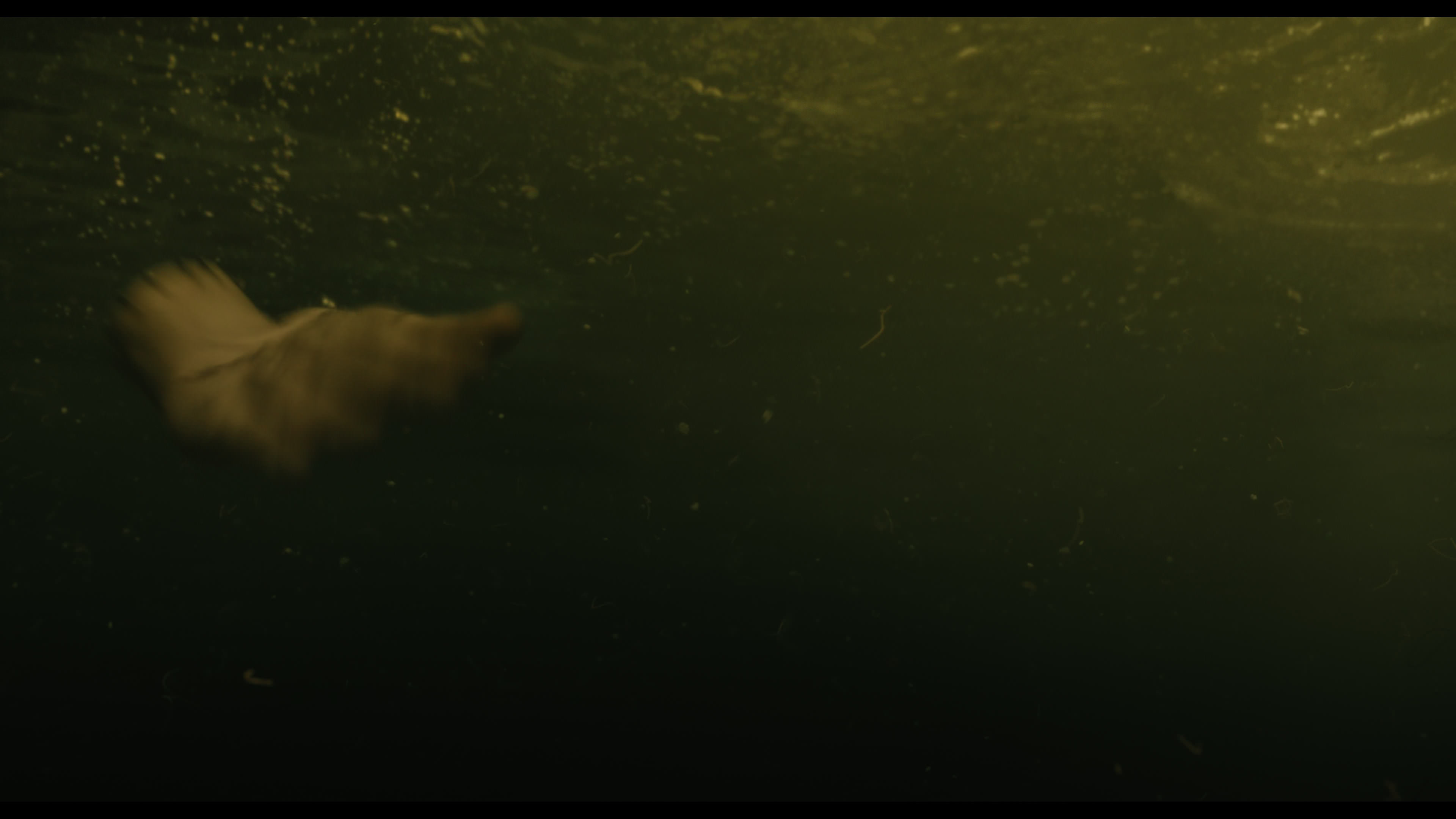 Wednesday S01E02 “Woe Is the Loneliest Number” screencap 5619