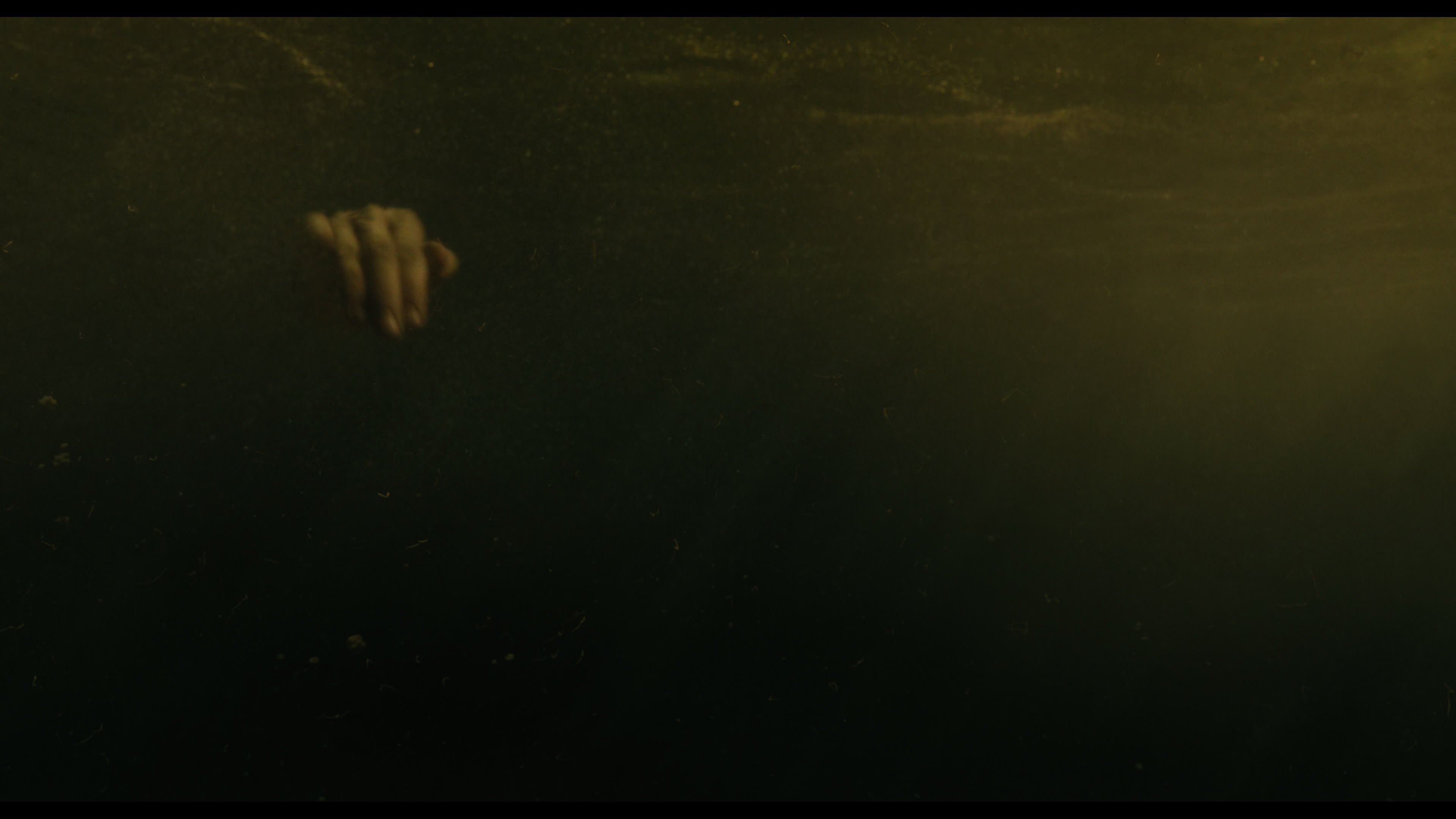 Wednesday S01E02 “Woe Is the Loneliest Number” screencap 5625