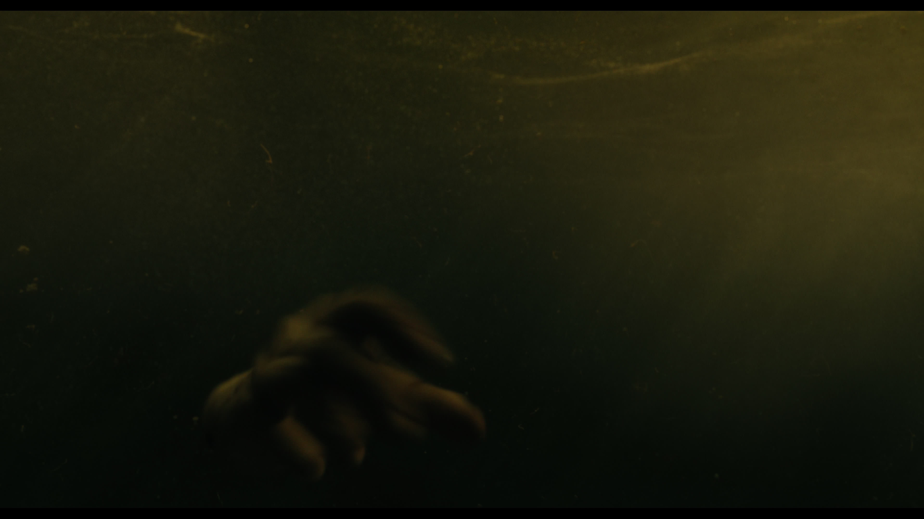 Wednesday S01E02 “Woe Is the Loneliest Number” movie still 5626