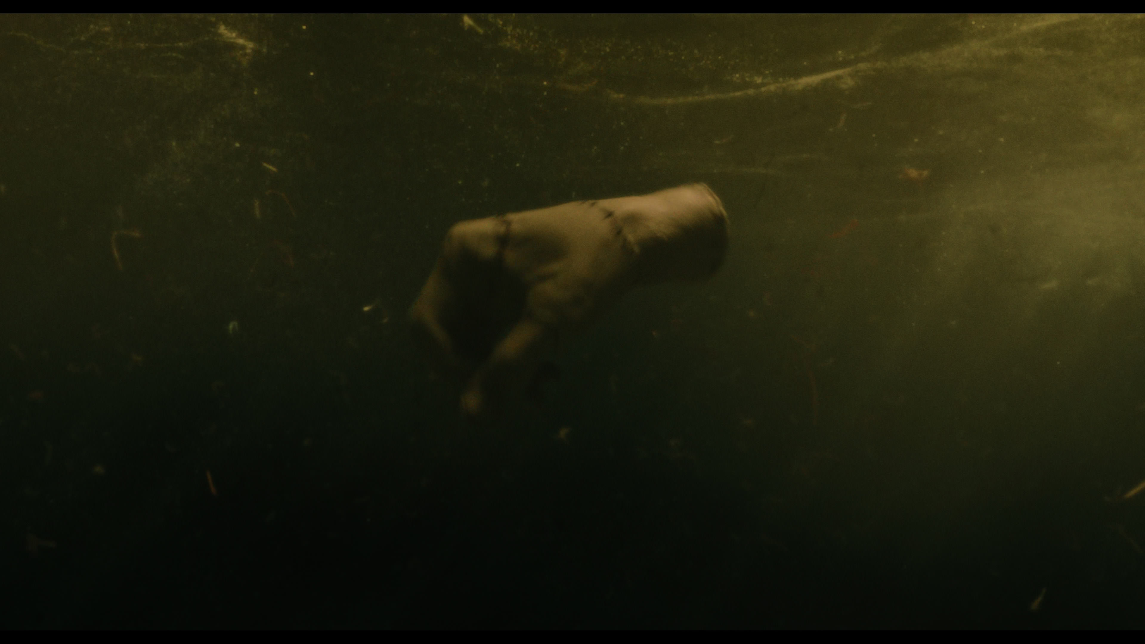 Wednesday S01E02 “Woe Is the Loneliest Number” movie still 5632