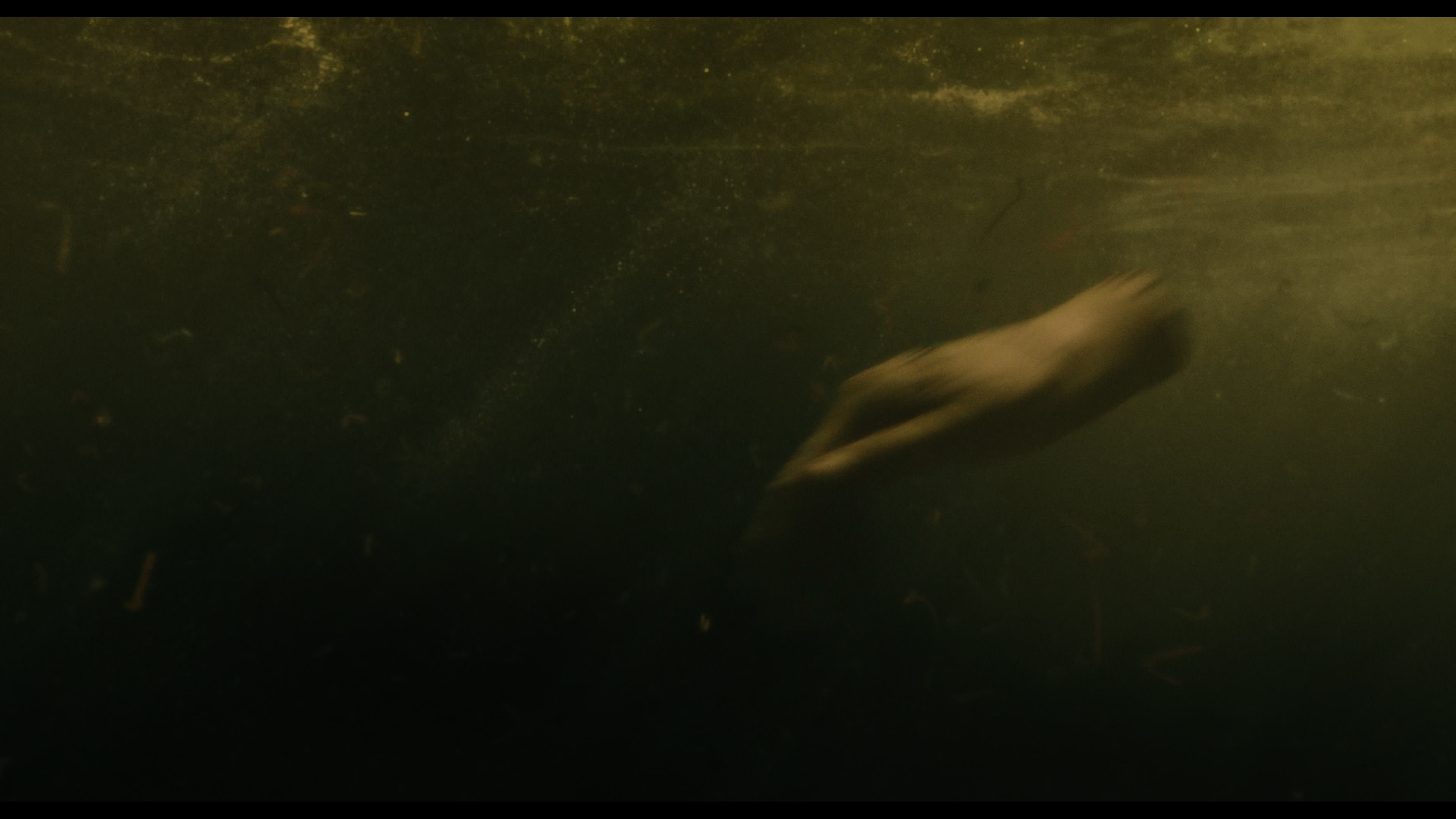 Wednesday S01E02 “Woe Is the Loneliest Number” HD screenshot 5633