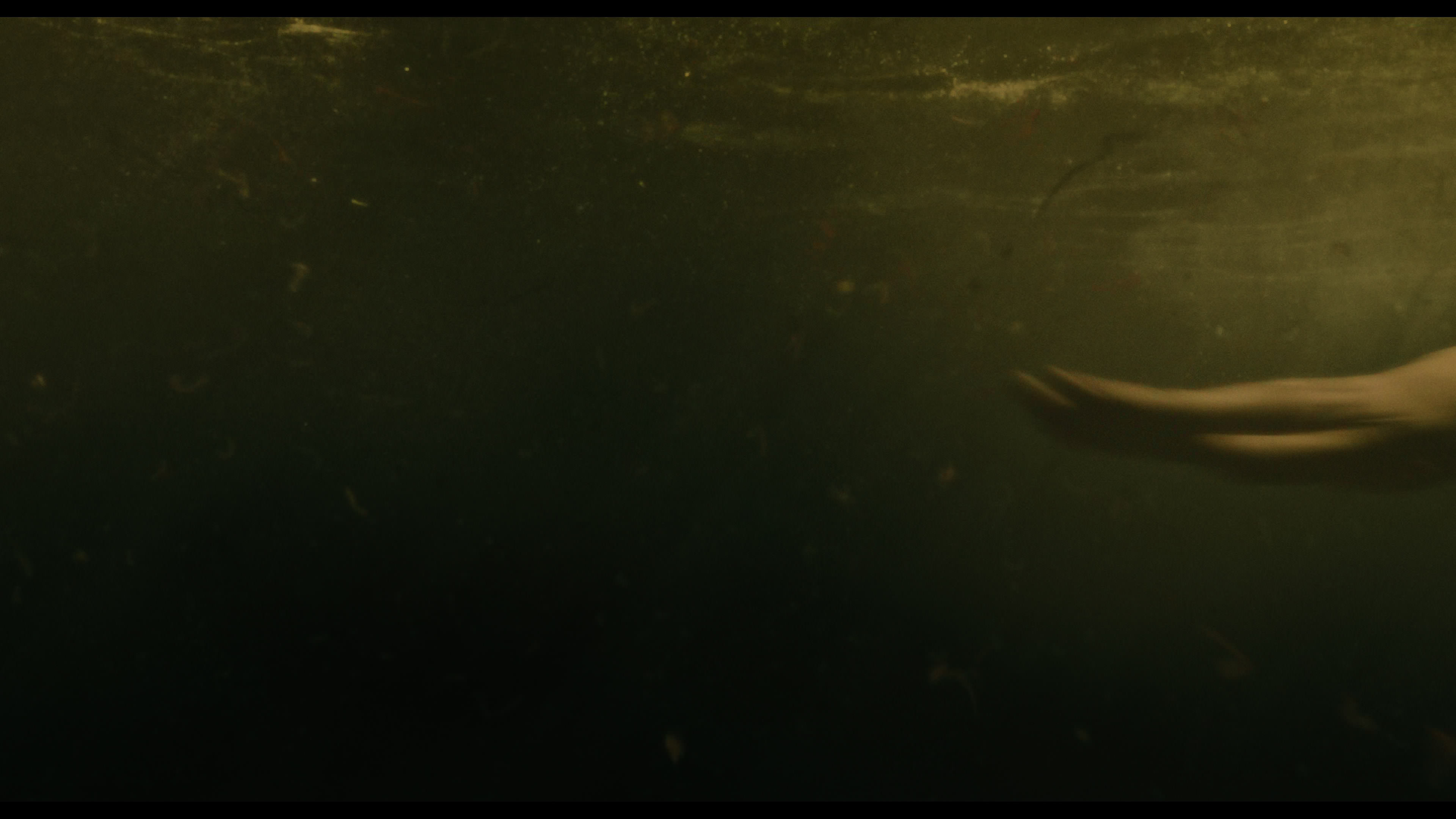 Wednesday S01E02 “Woe Is the Loneliest Number” screencap 5634