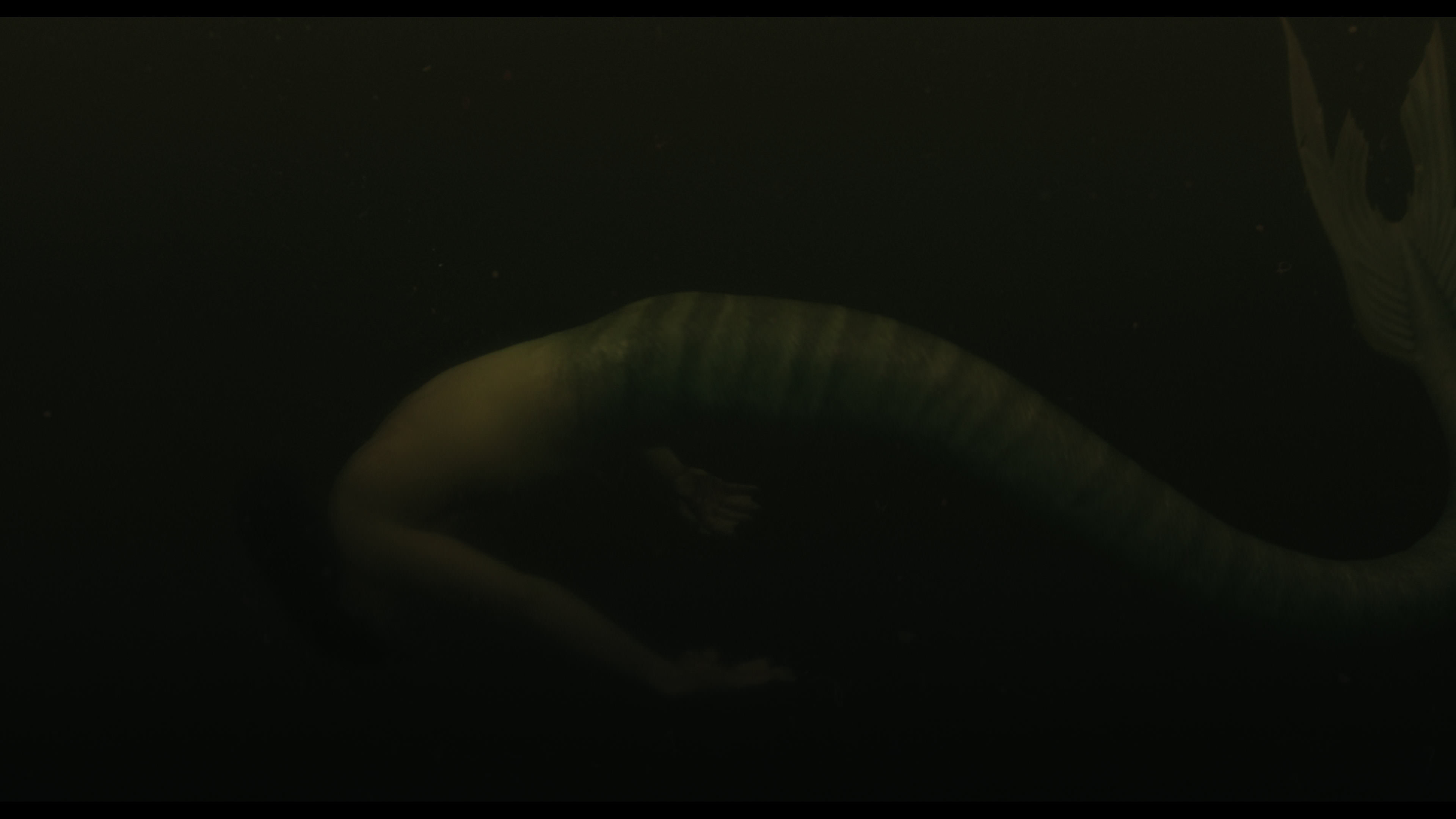 Wednesday S01E02 “Woe Is the Loneliest Number” movie still 5638
