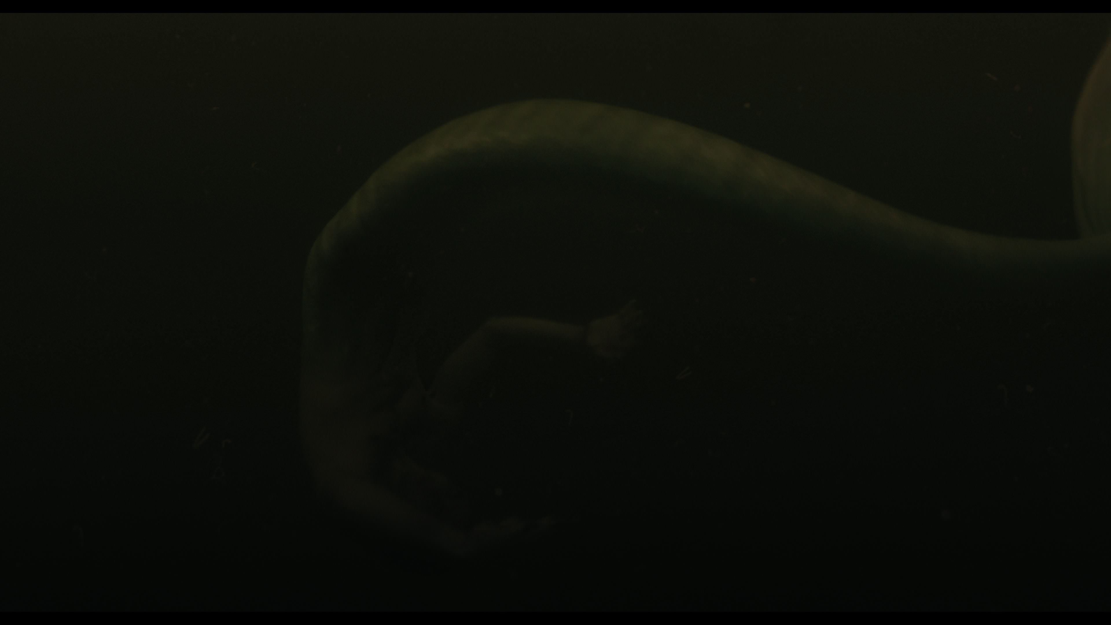 Wednesday S01E02 “Woe Is the Loneliest Number” screencap 5640