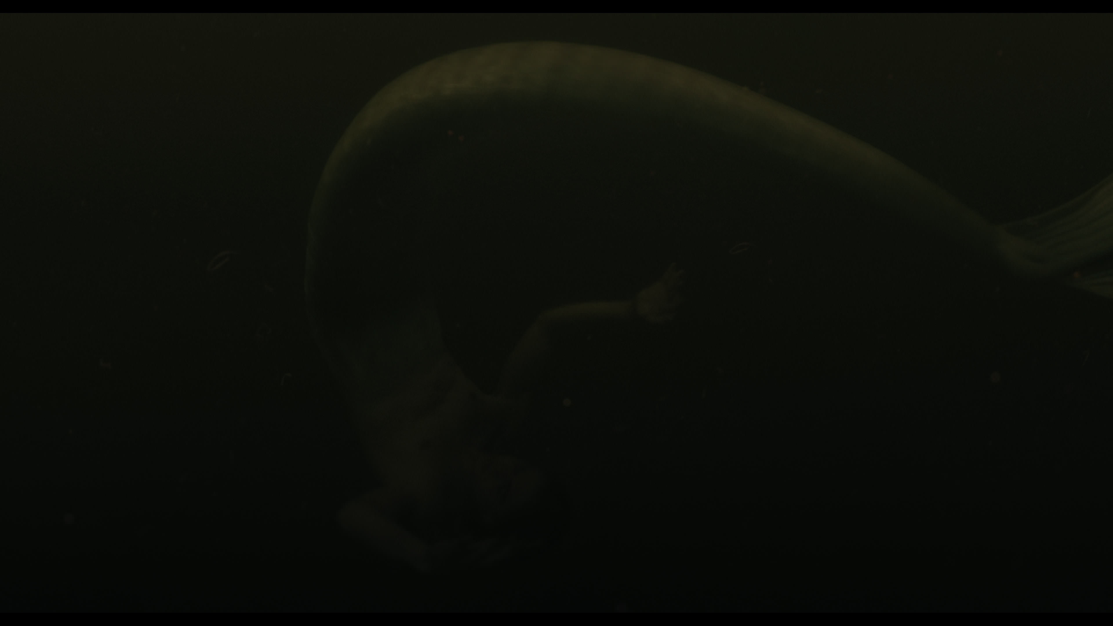 Wednesday S01E02 “Woe Is the Loneliest Number” movie still 5641