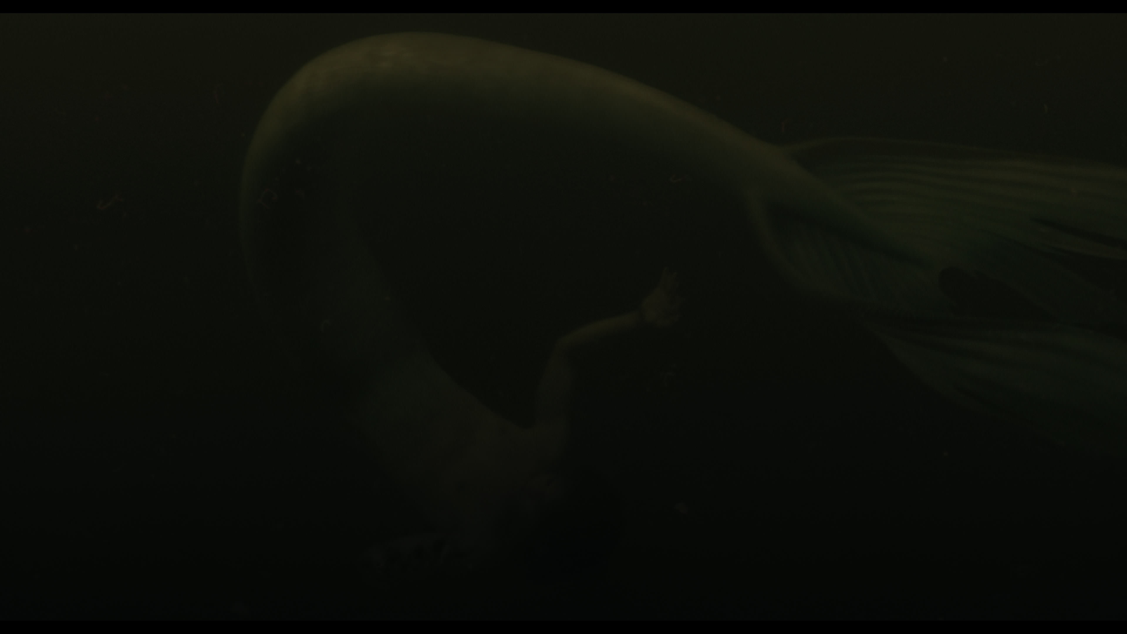 Wednesday S01E02 “Woe Is the Loneliest Number” HD screenshot 5642