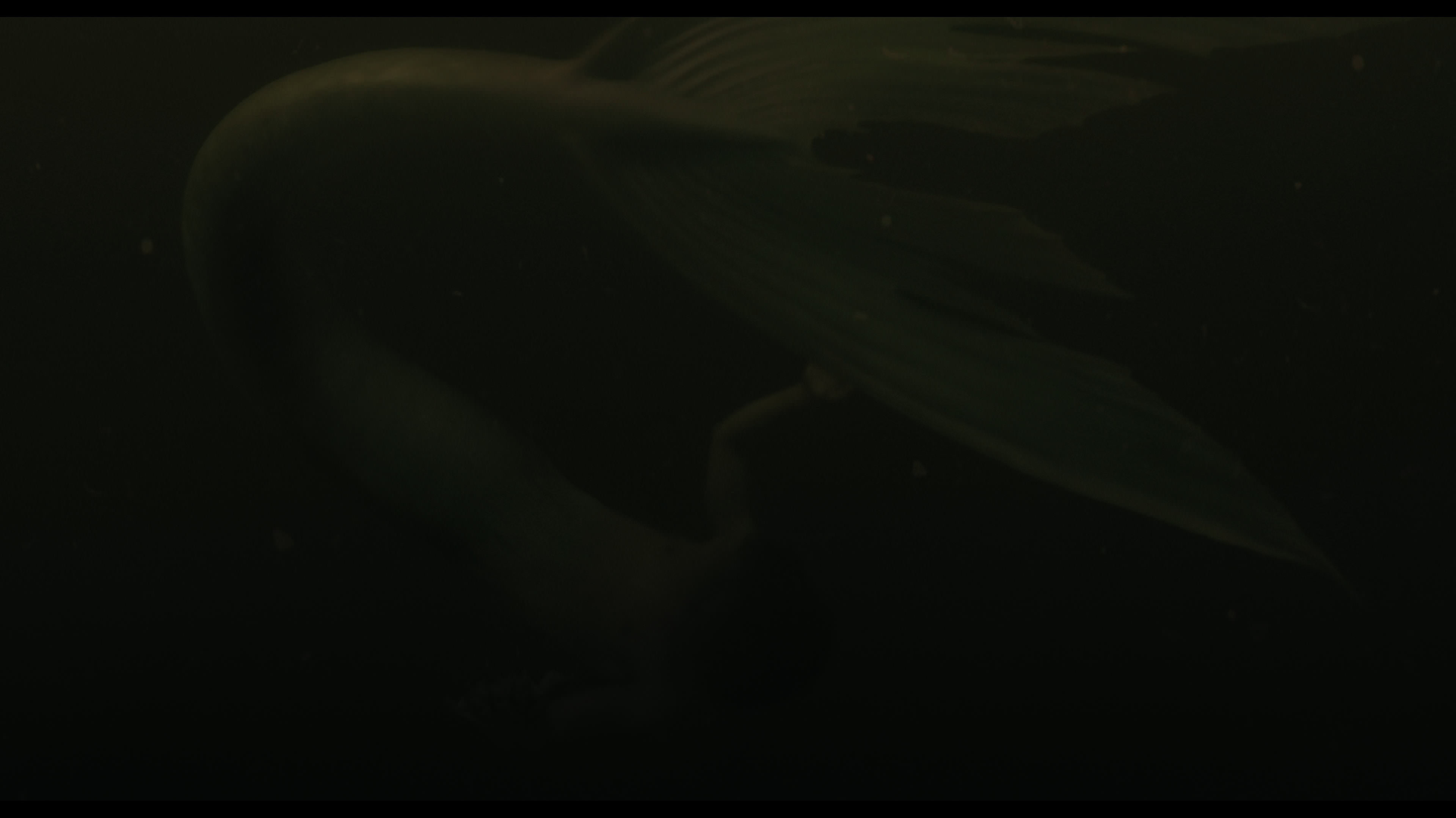 Wednesday S01E02 “Woe Is the Loneliest Number” screencap 5643