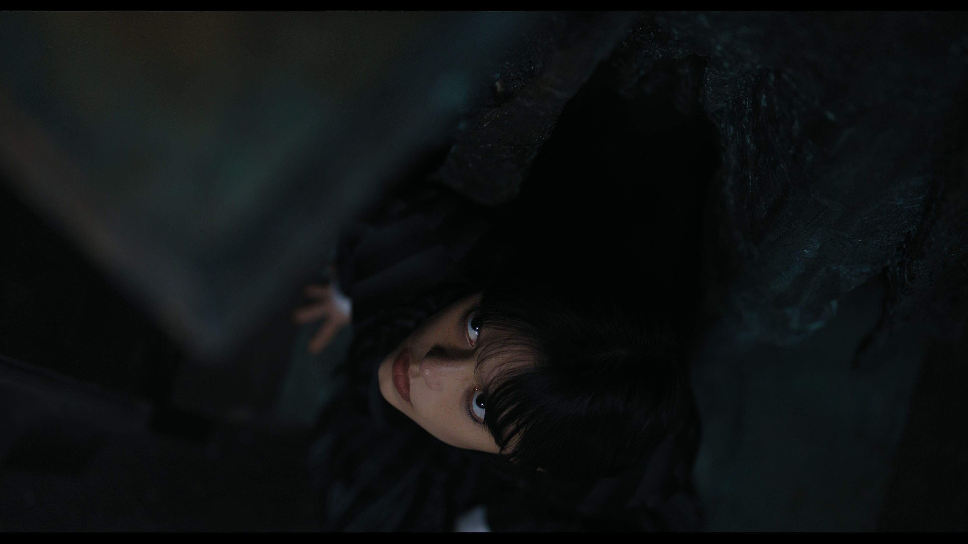 Wednesday S01E02 “Woe Is the Loneliest Number” screencap 5943