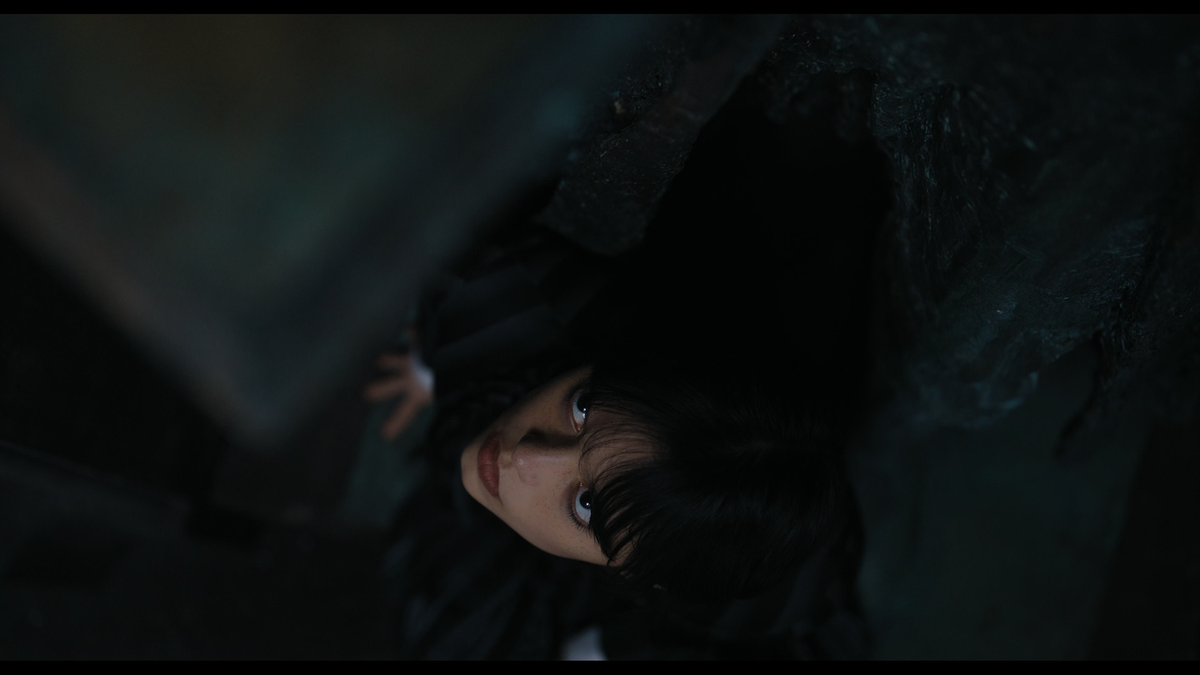 Wednesday S01E02 “Woe Is the Loneliest Number” movie still 5944