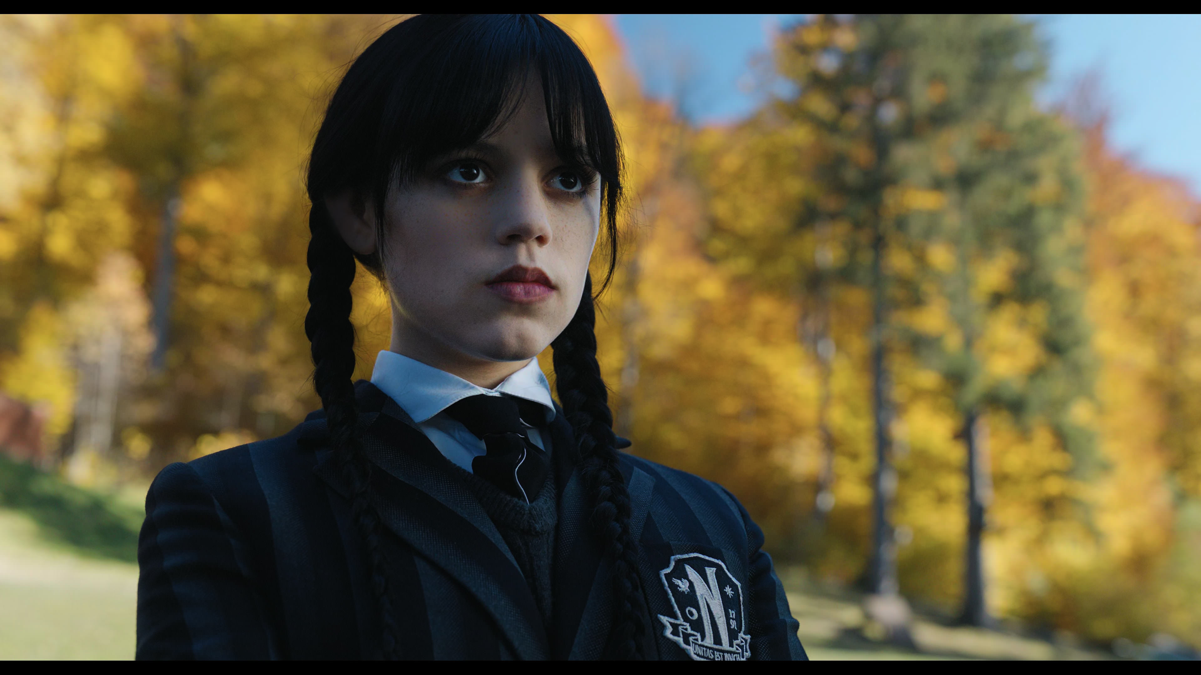 Wednesday S01E02 “Woe Is the Loneliest Number” HD screenshot 908