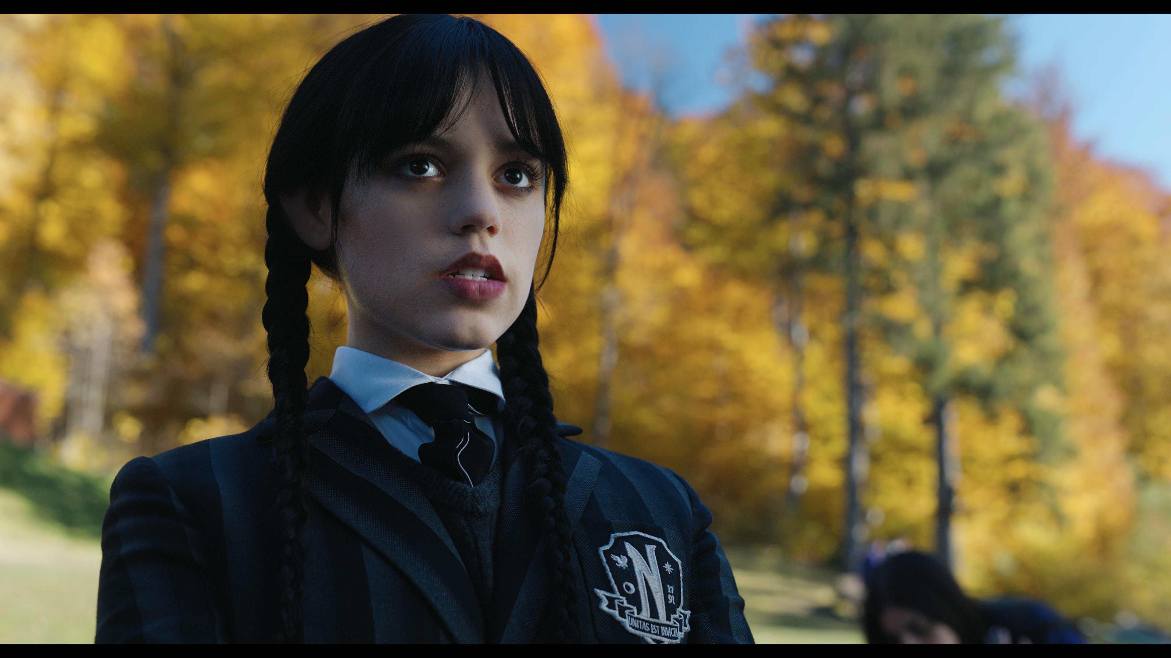 Wednesday S01E02 “Woe Is the Loneliest Number” HD screenshot 926