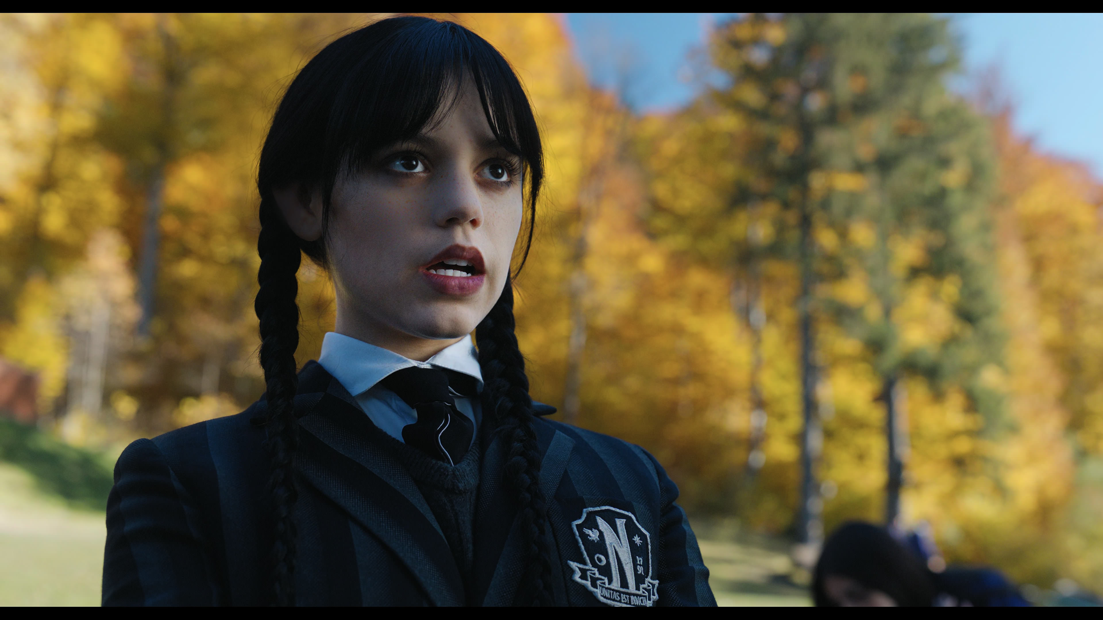 Wednesday S01E02 “Woe Is the Loneliest Number” HD screenshot 929