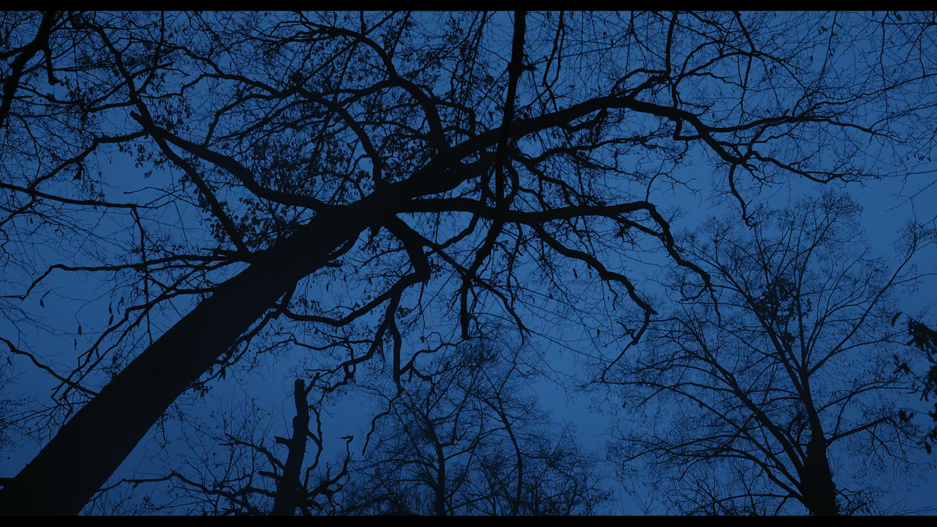 Wednesday S01E03 “Friend or Woe” HD screenshot 3404