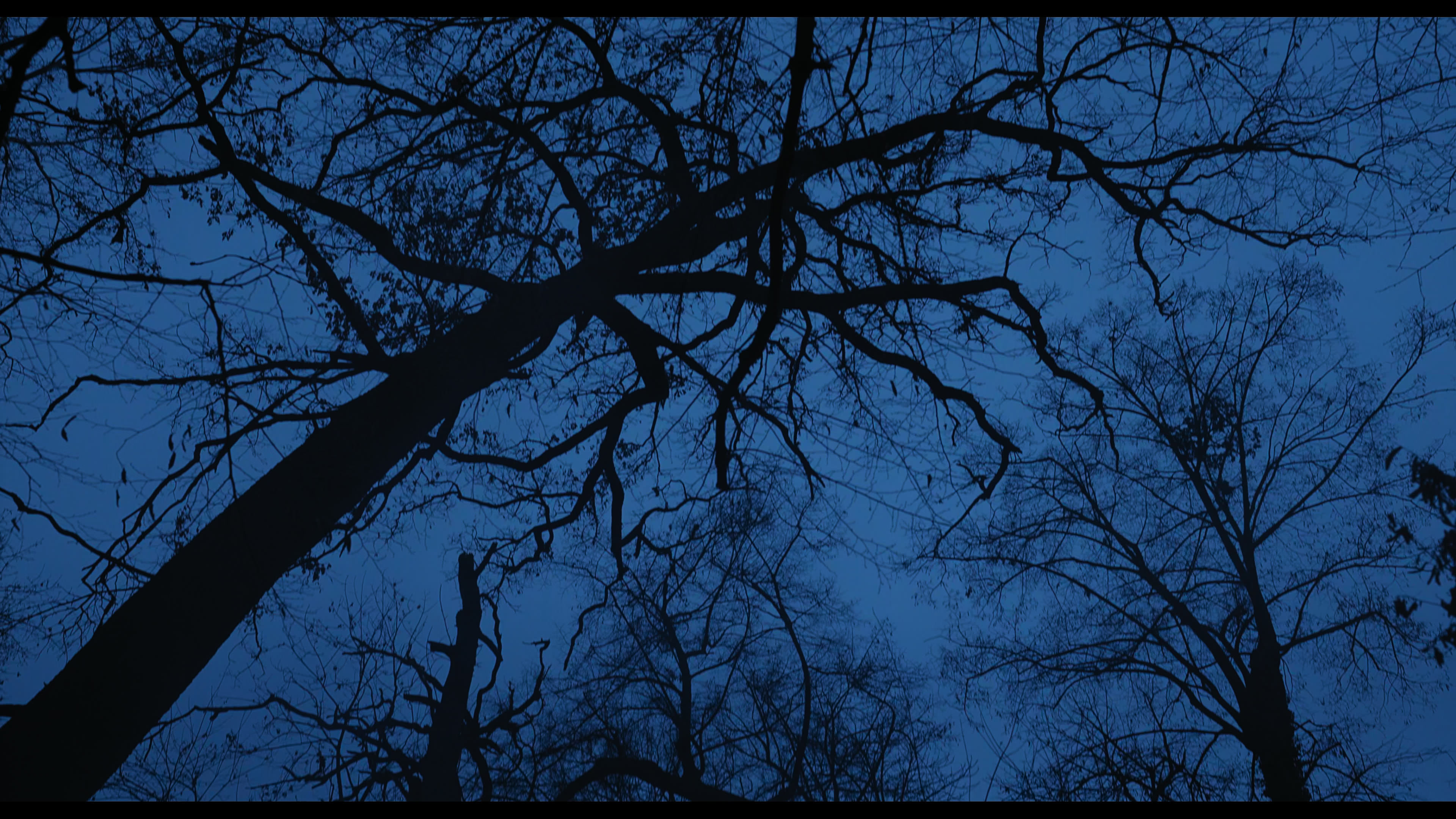 Wednesday S01E03 “Friend or Woe” screencap 3405