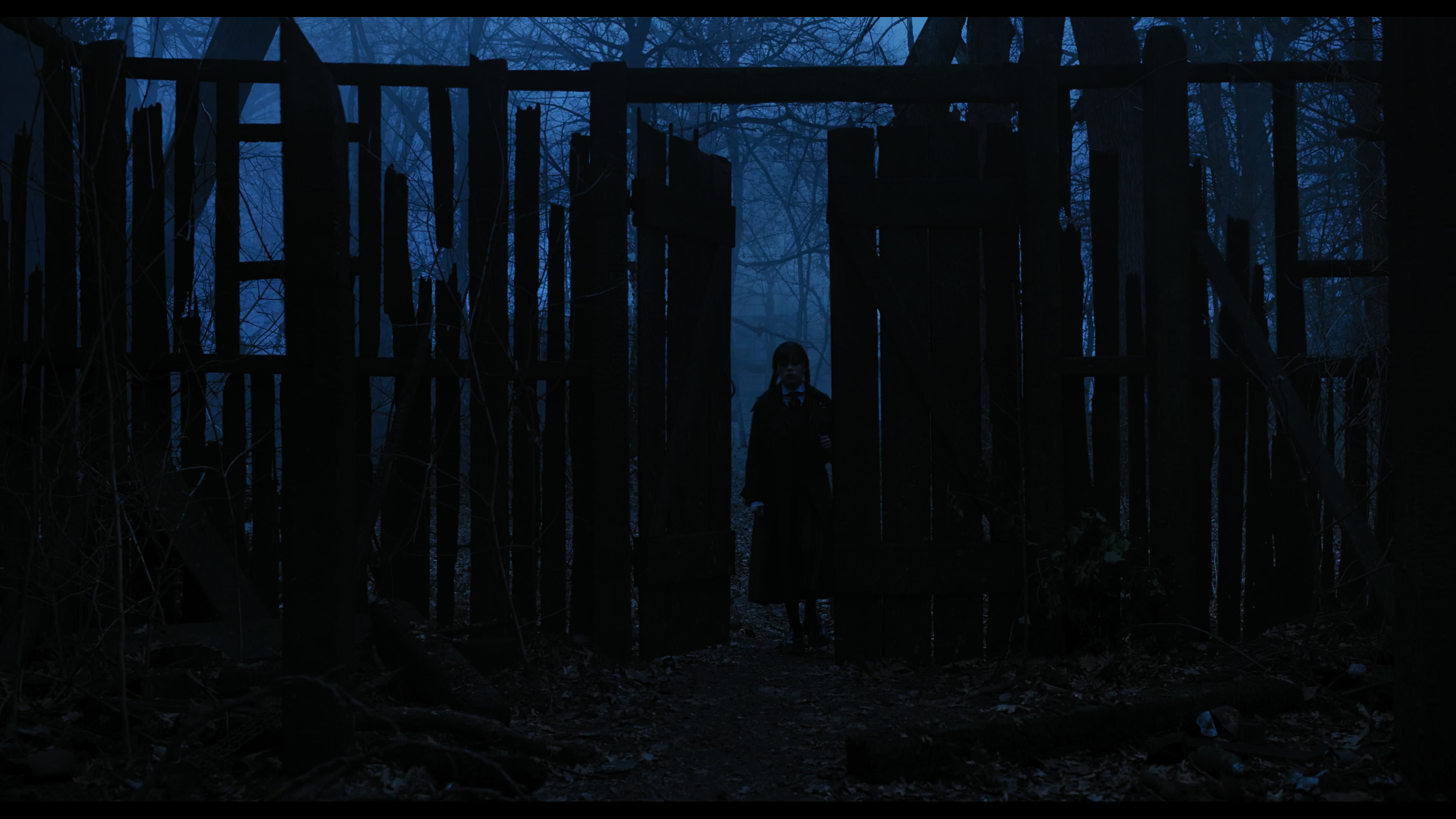 Wednesday S01E03 “Friend or Woe” movie still 3430