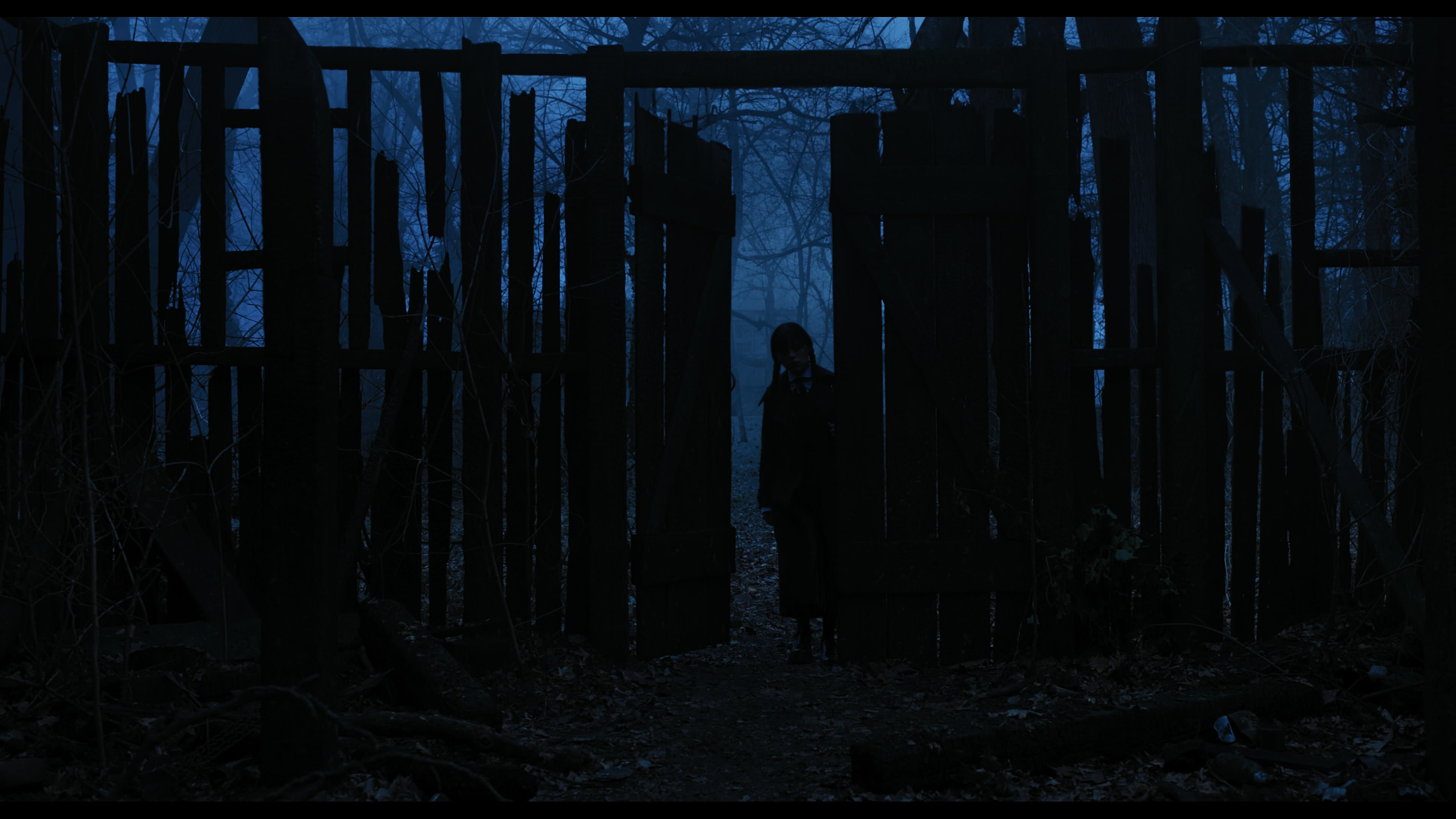 Wednesday S01E03 “Friend or Woe” screencap 3432