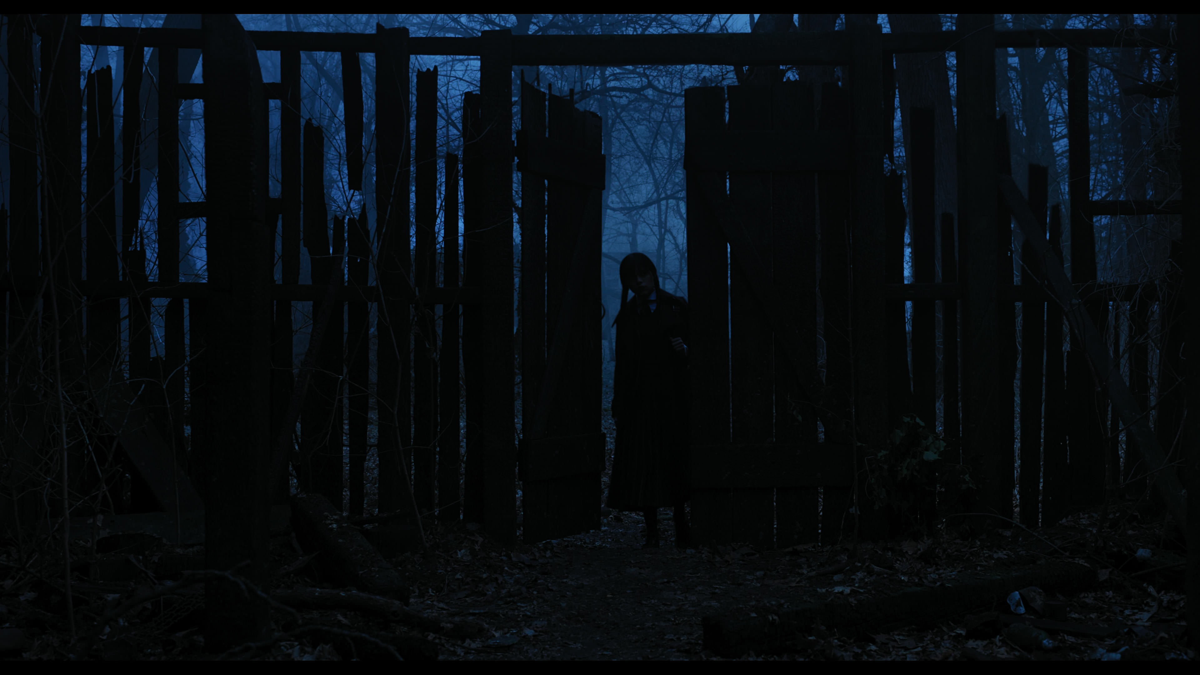 Wednesday S01E03 “Friend or Woe” movie still 3433