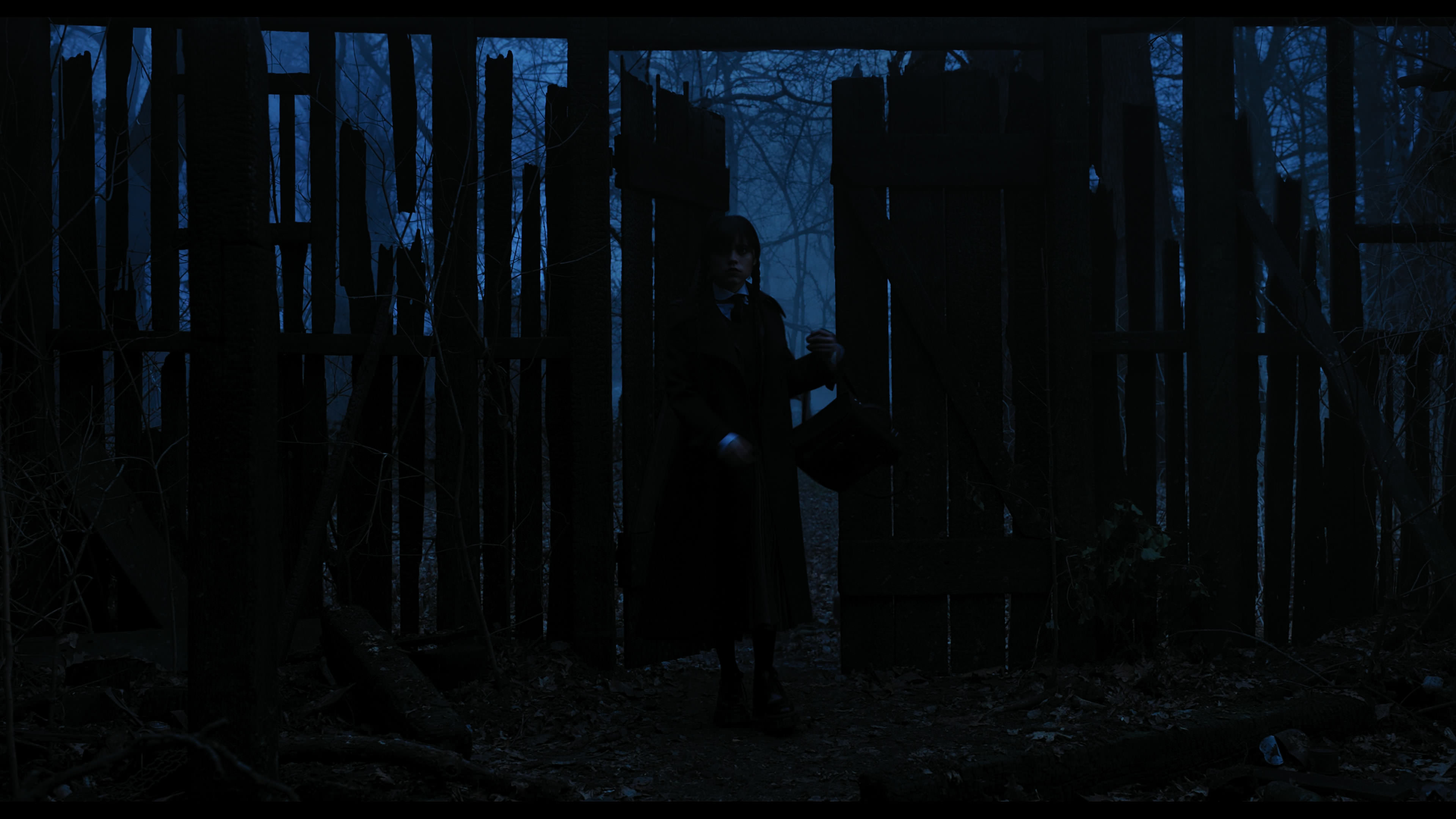 Wednesday S01E03 “Friend or Woe” screencap 3438