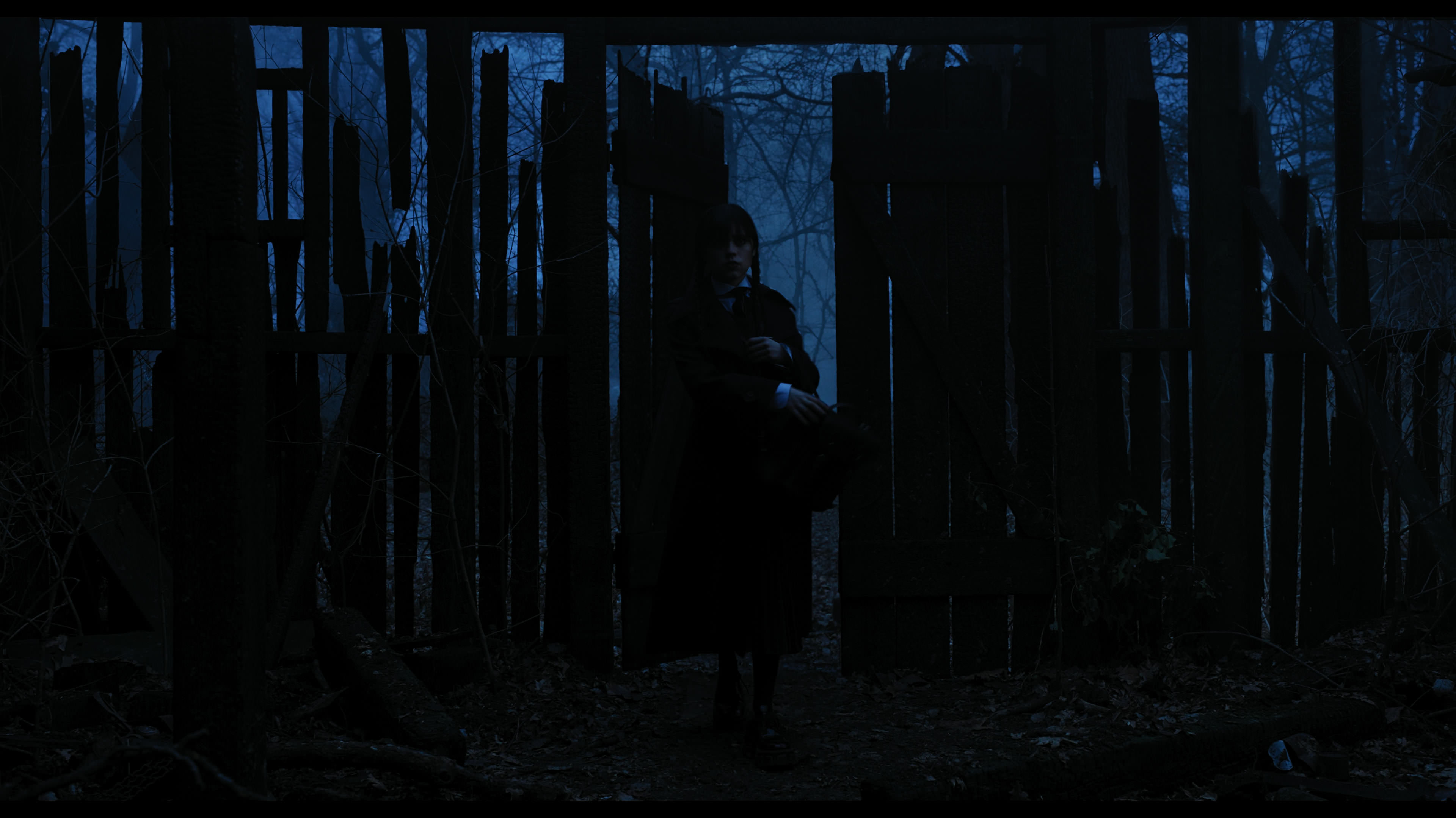 Wednesday S01E03 “Friend or Woe” movie still 3439