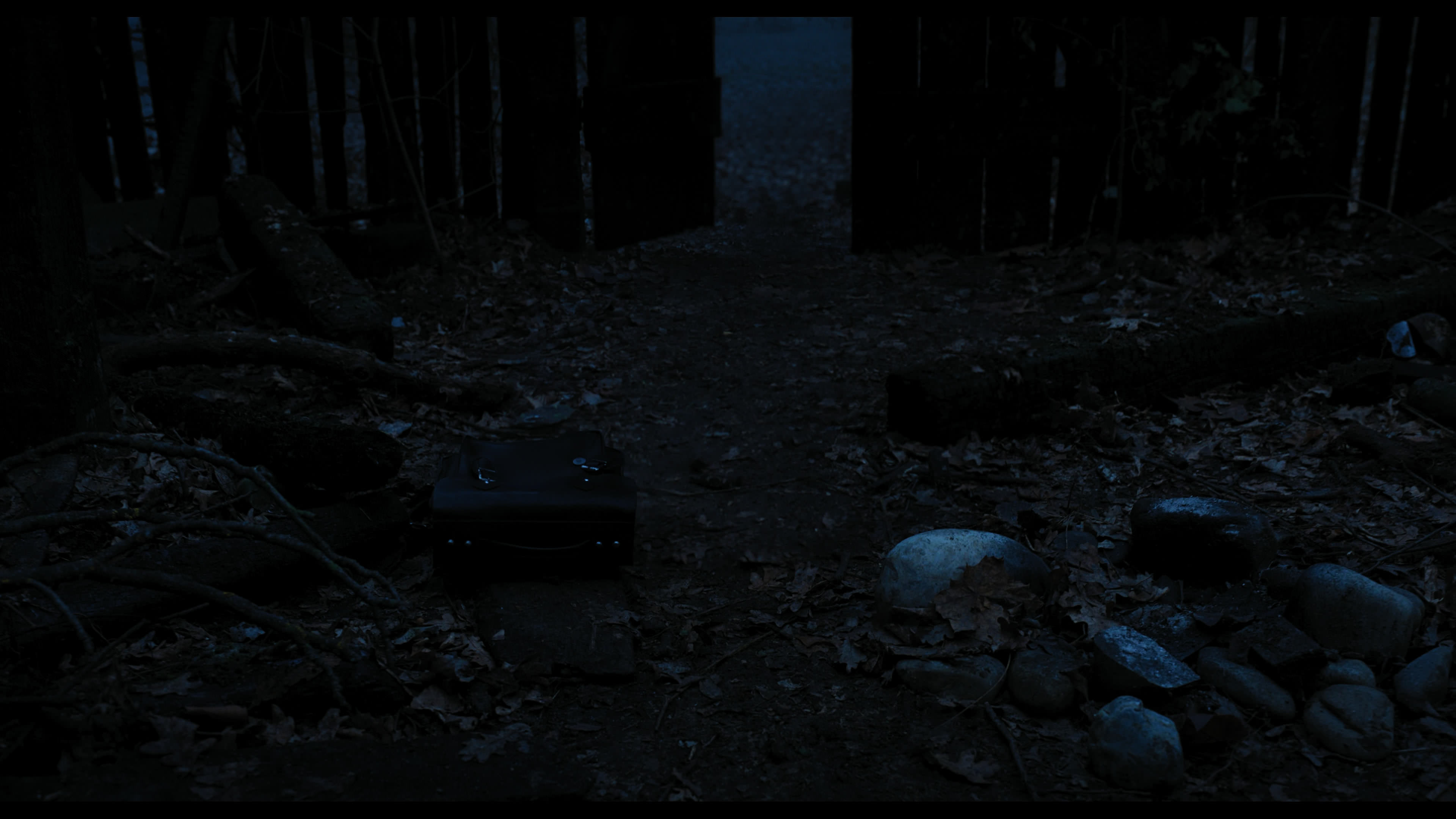 Wednesday S01E03 “Friend or Woe” movie still 3448