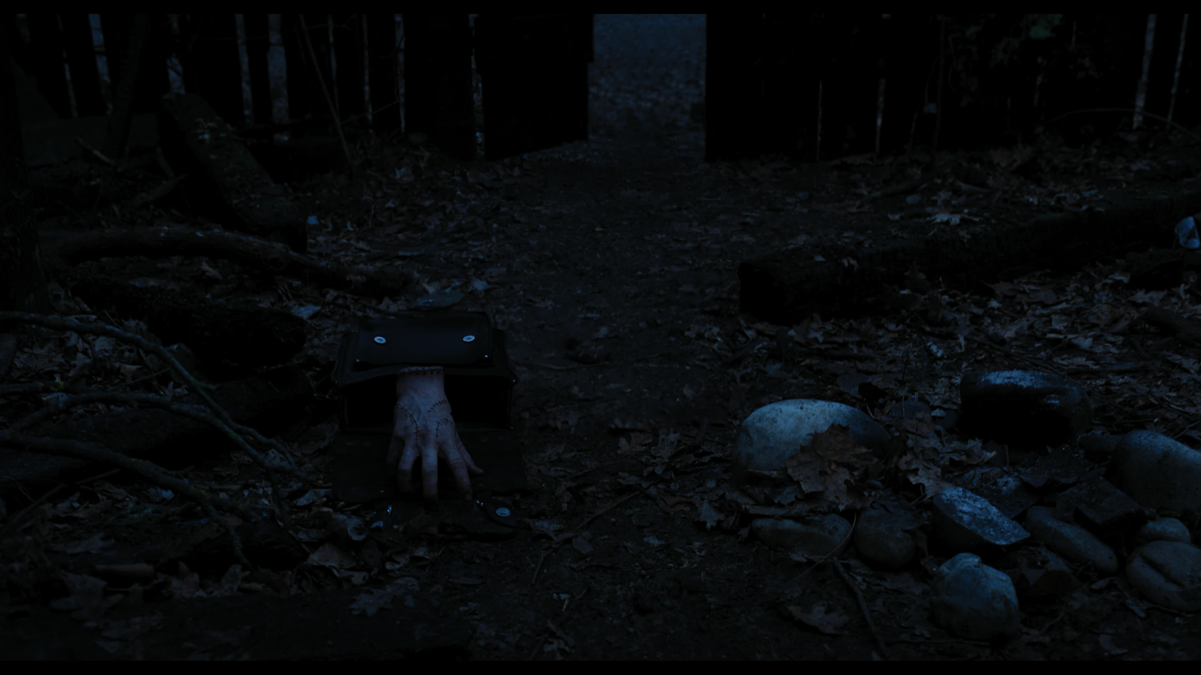 Wednesday S01E03 “Friend or Woe” screencap 3450