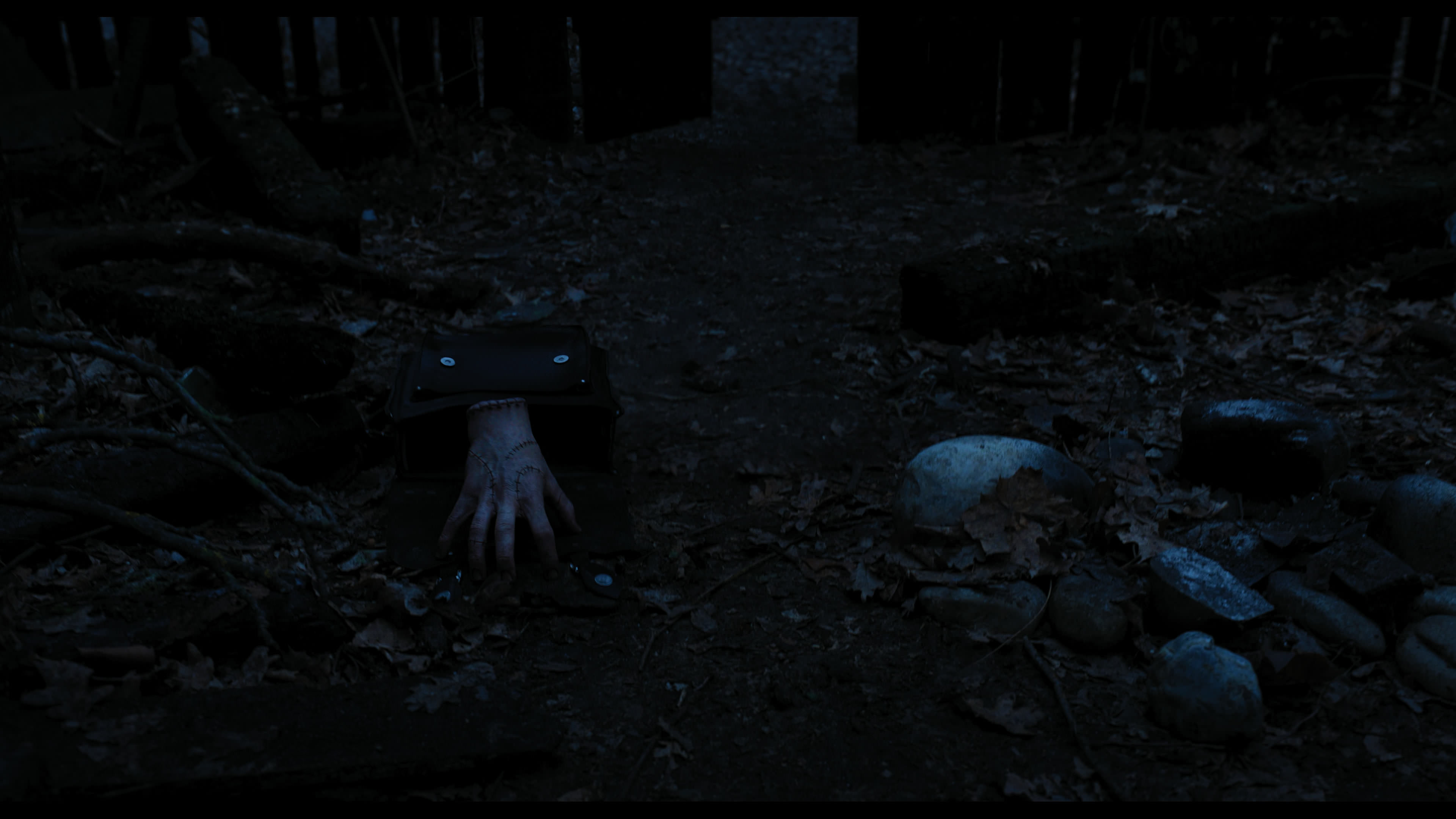Wednesday S01E03 “Friend or Woe” movie still 3451