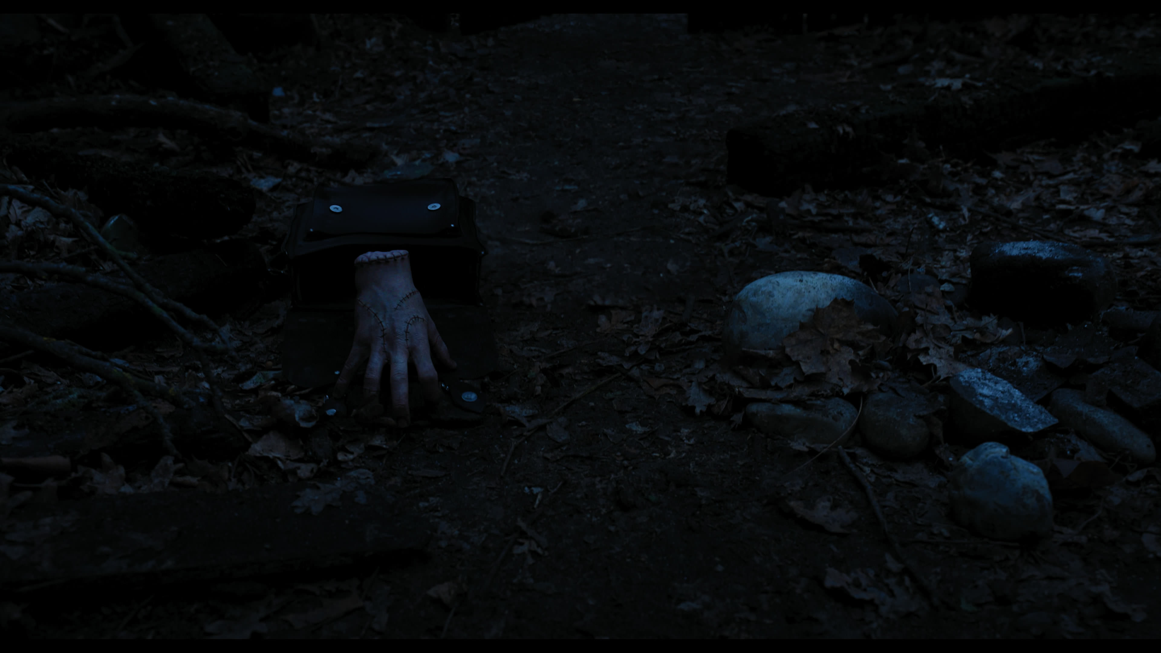 Wednesday S01E03 “Friend or Woe” screencap 3453