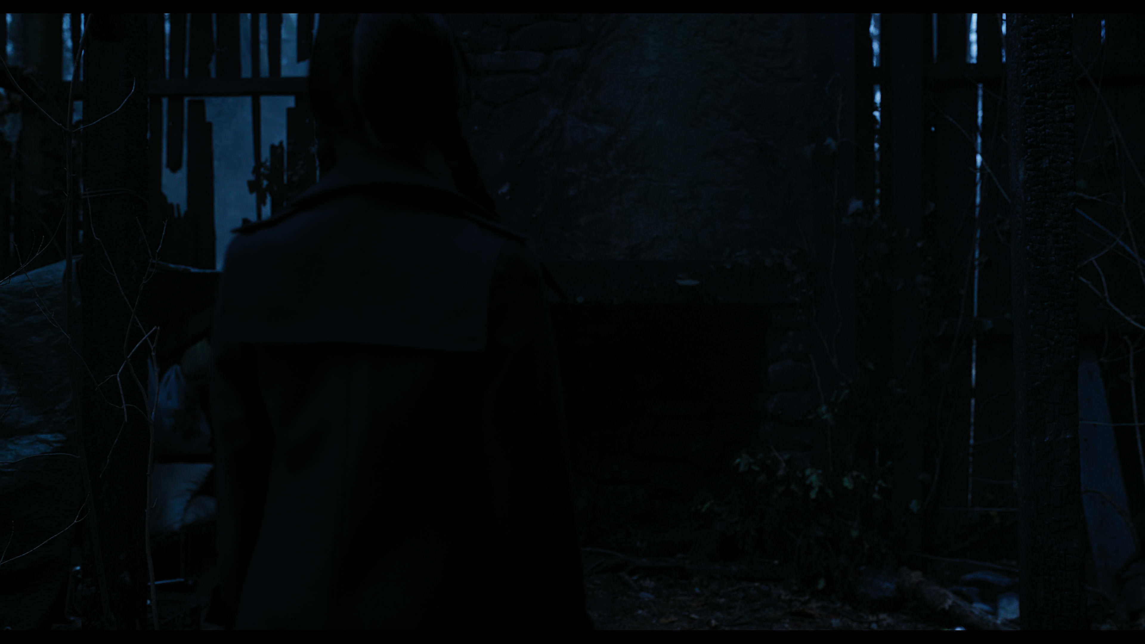 Wednesday S01E03 “Friend or Woe” movie still 3457