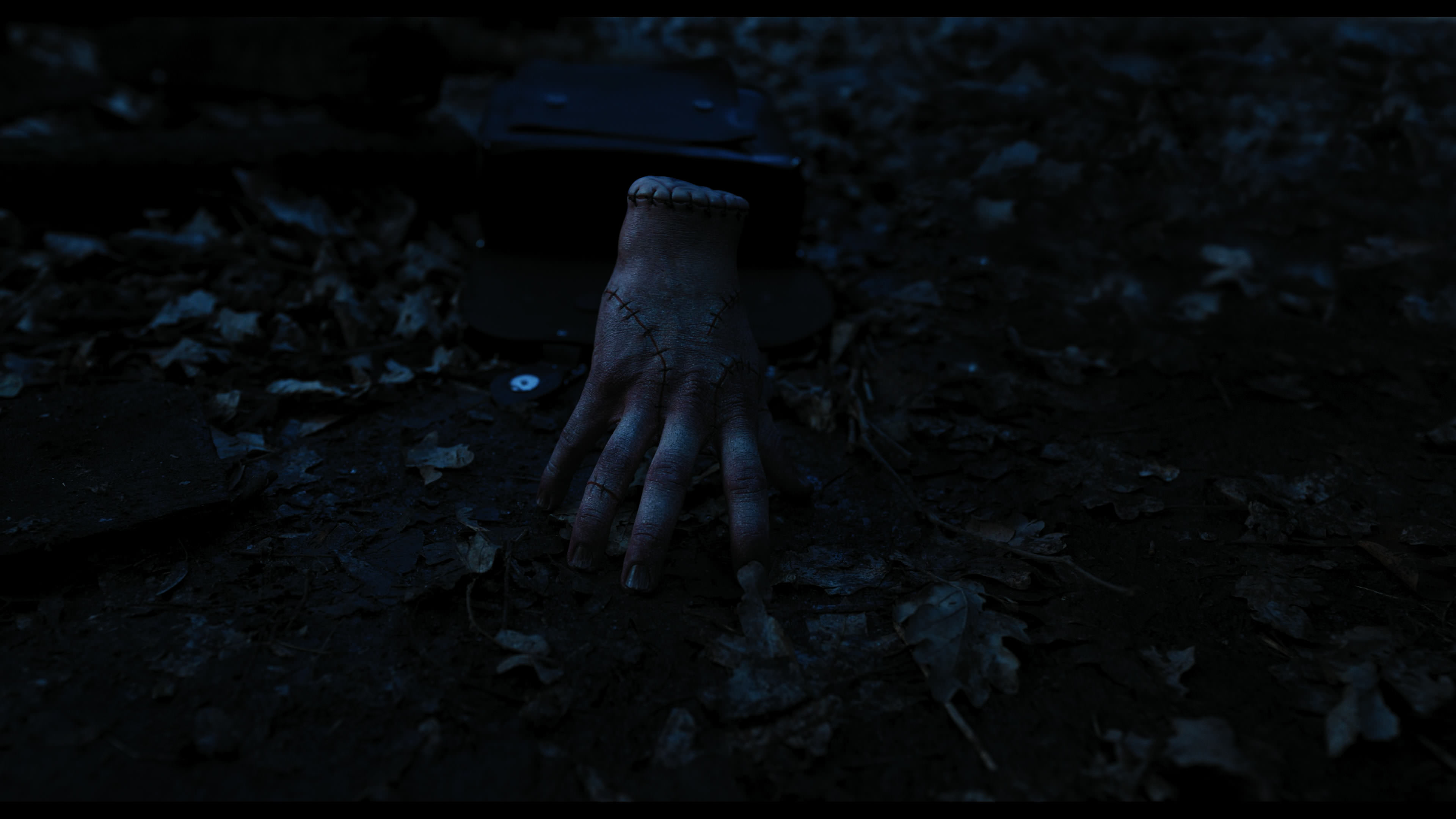 Wednesday S01E03 “Friend or Woe” movie still 3463