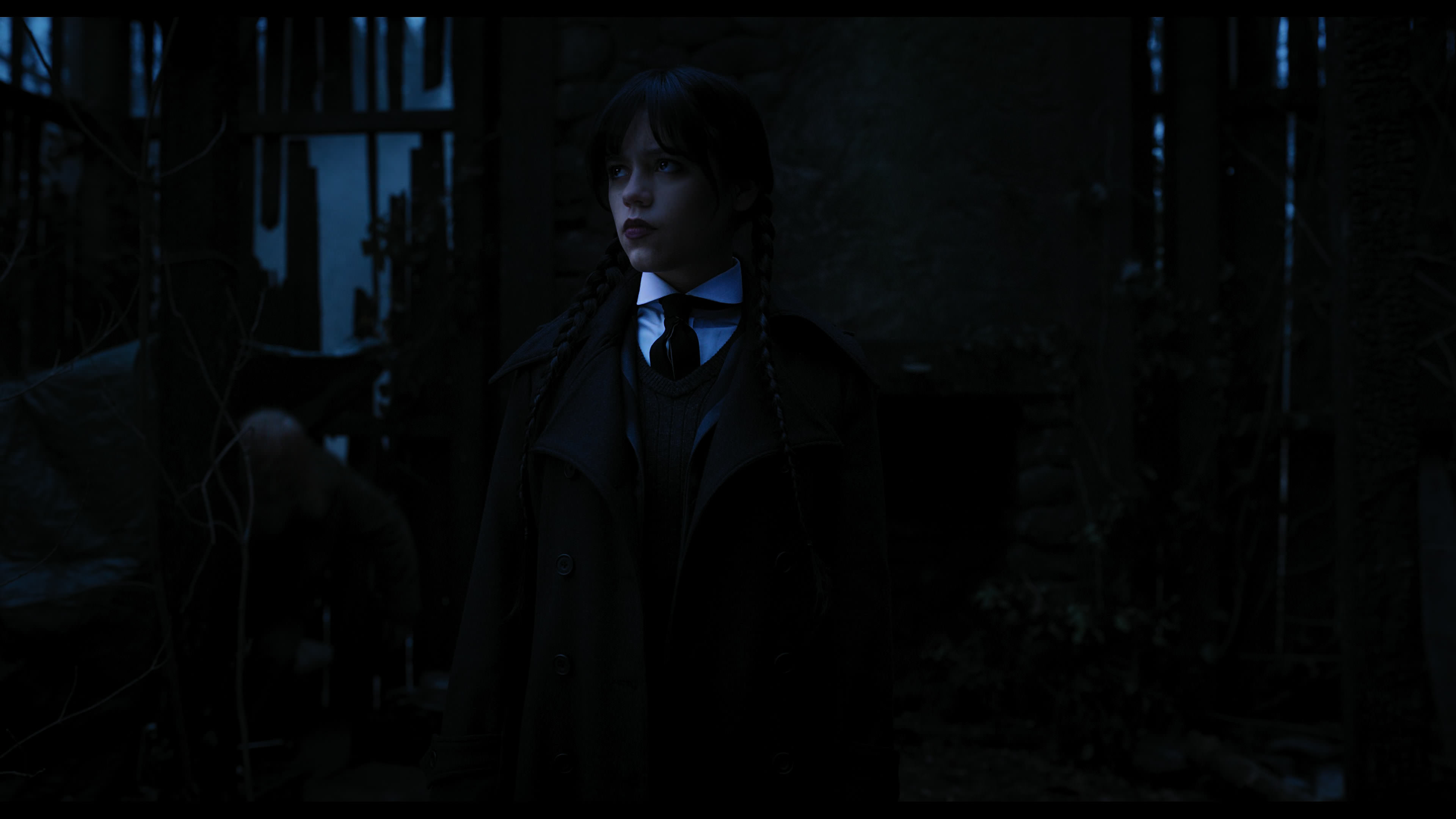 Wednesday S01E03 “Friend or Woe” movie still 3472