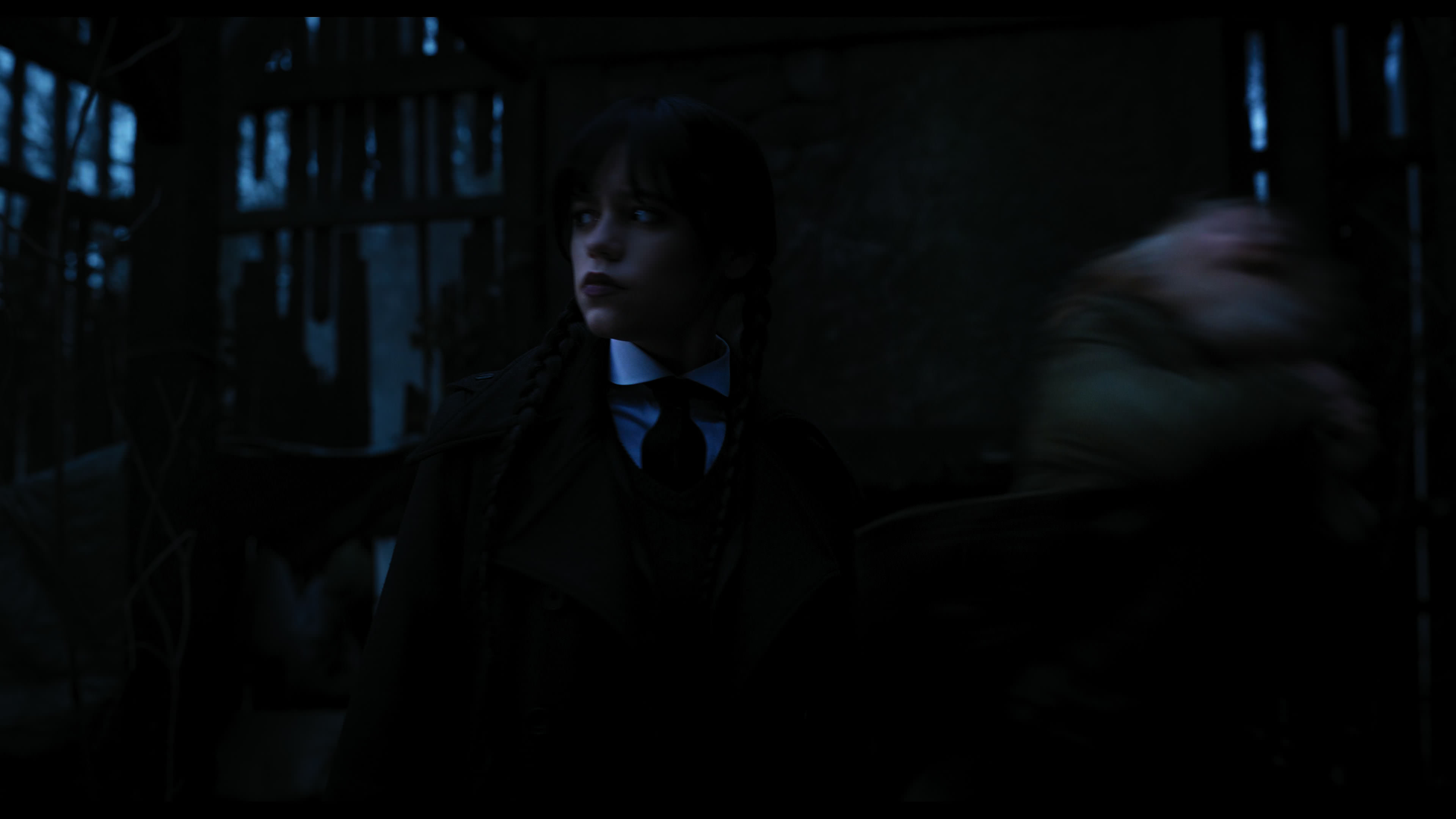 Wednesday S01E03 “Friend or Woe” screencap 3534