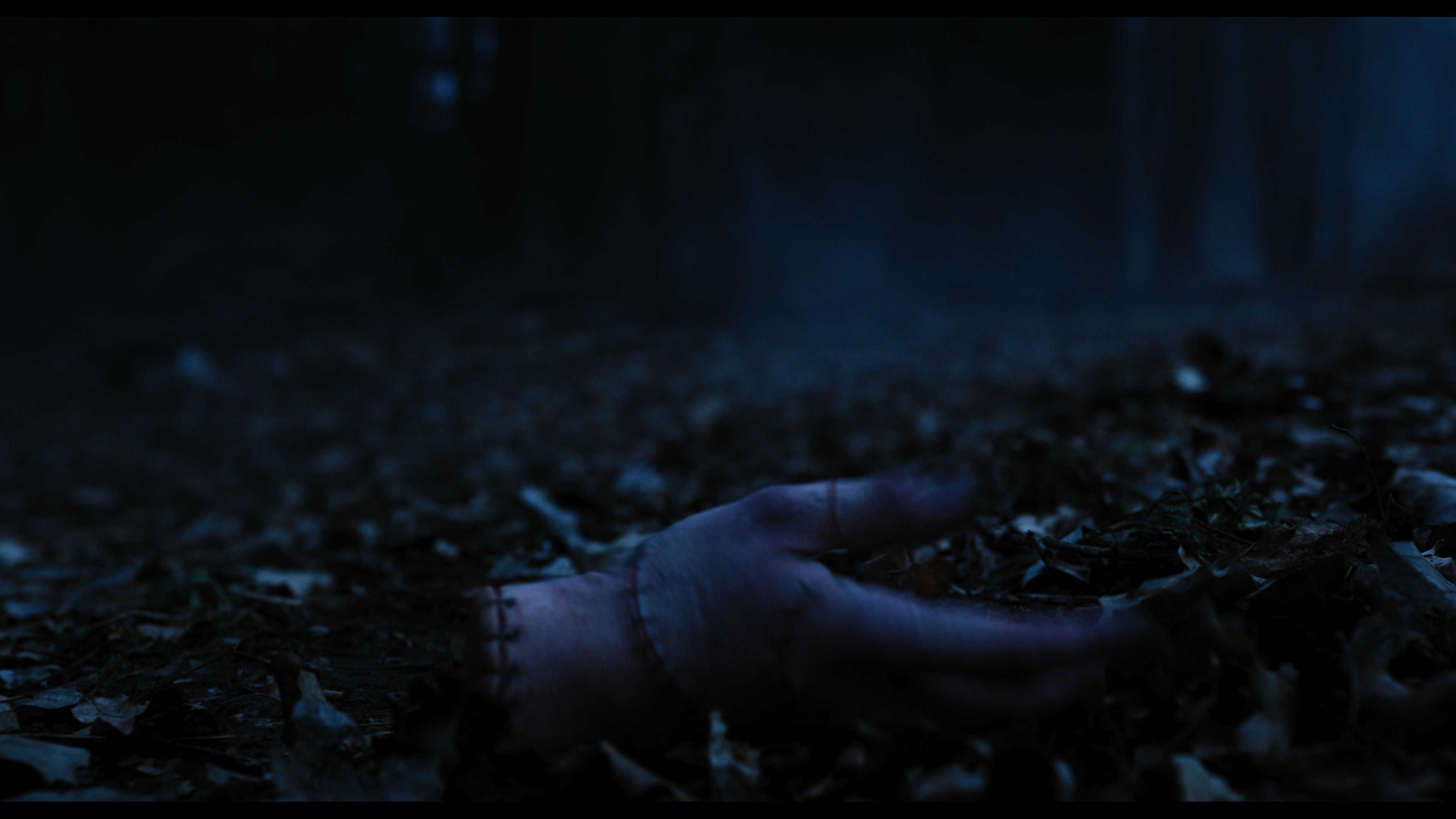 Wednesday S01E03 “Friend or Woe” movie still 3553