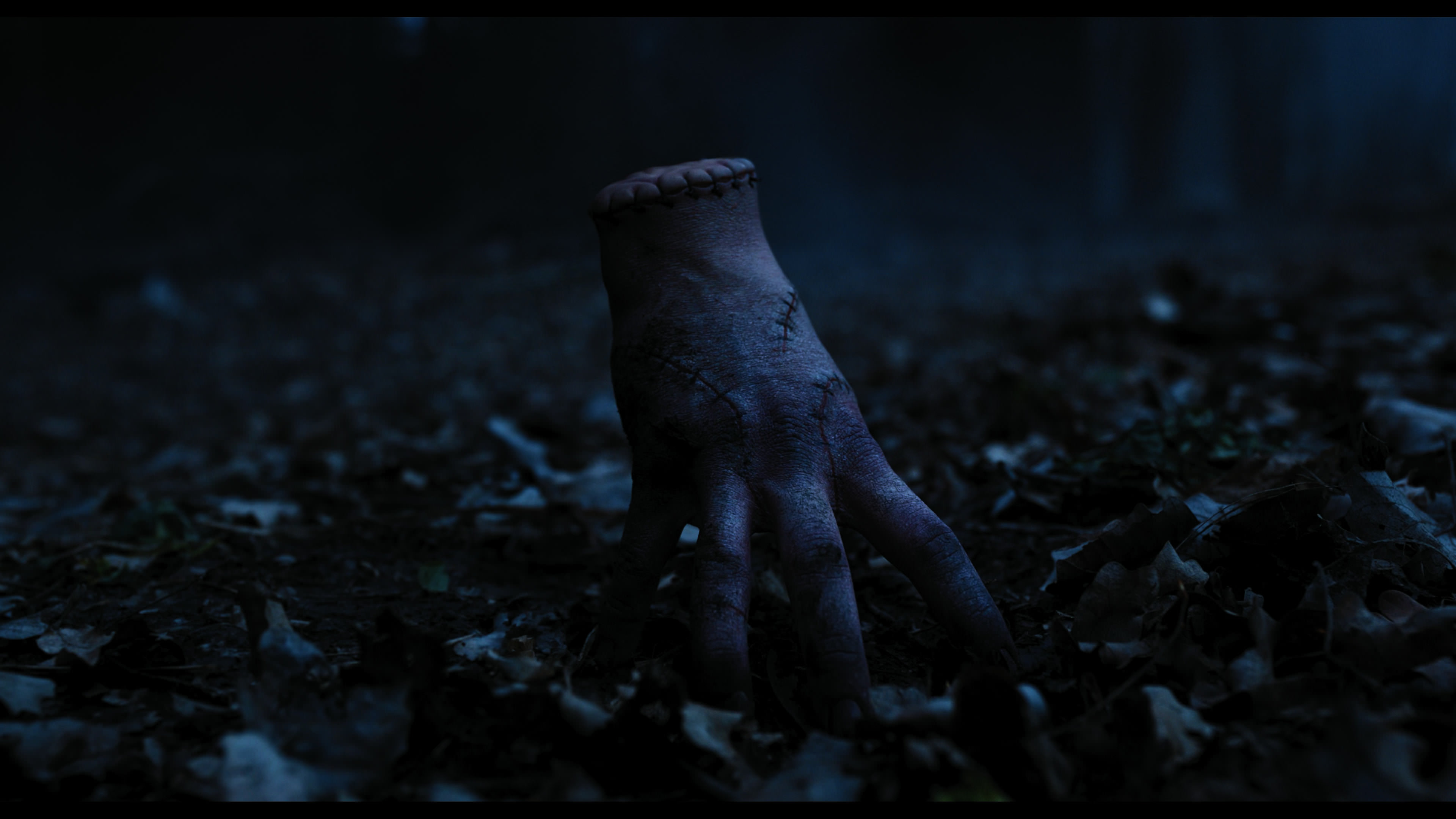 Wednesday S01E03 “Friend or Woe” movie still 3556