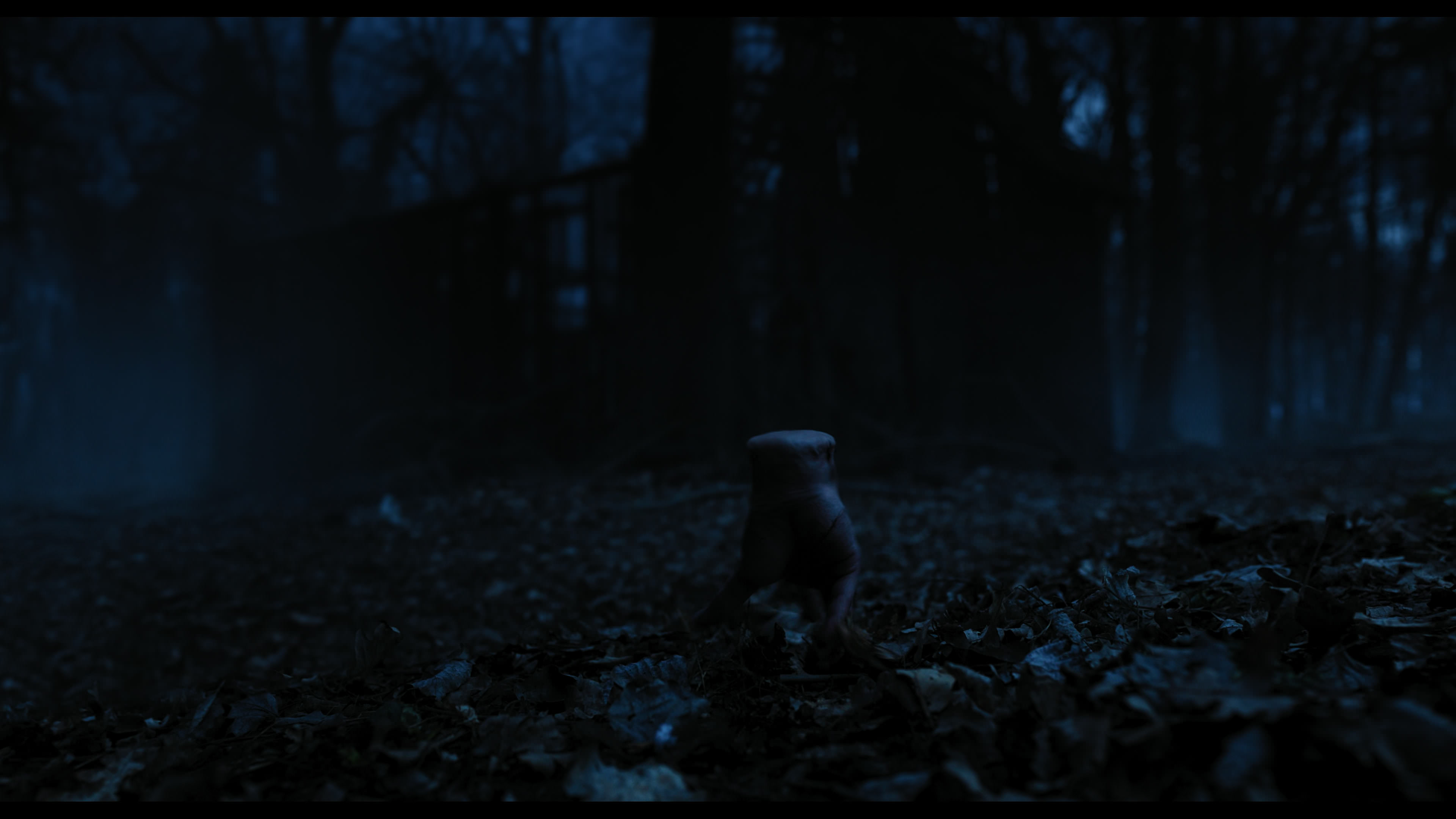 Wednesday S01E03 “Friend or Woe” movie still 3562